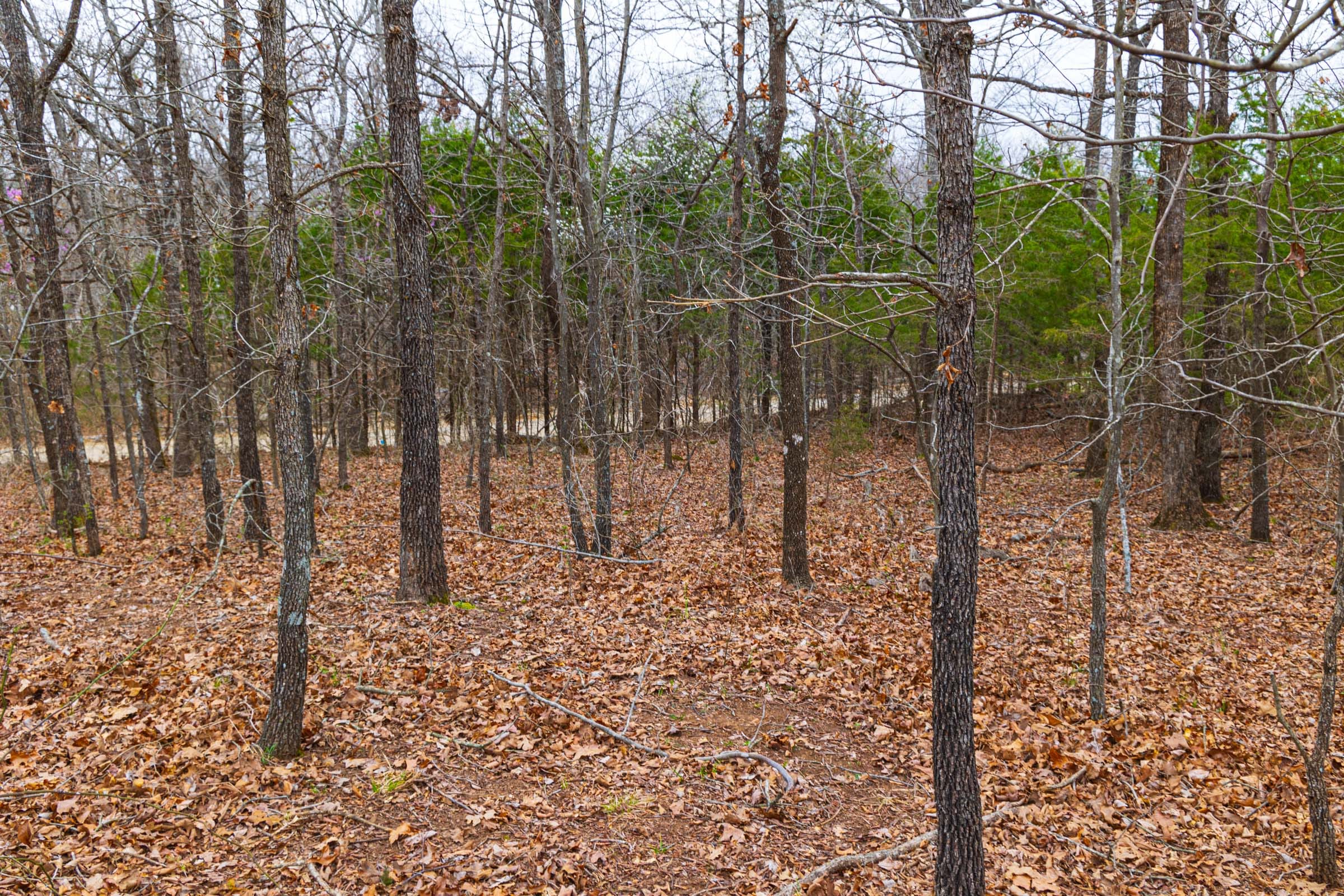 Reserves At Cattail Cove Phase I Tract 16 photo 15
