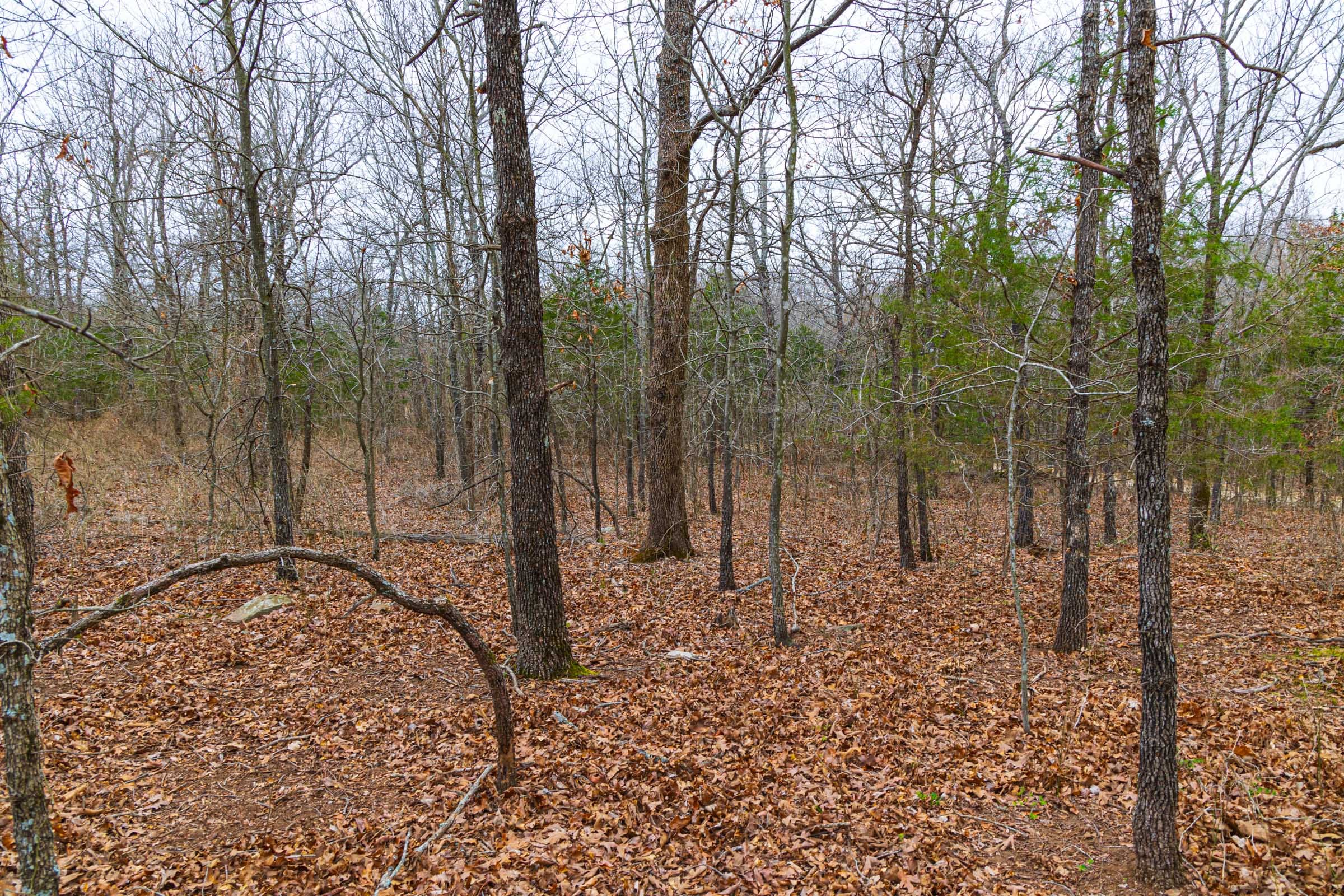Reserves At Cattail Cove Phase I Tract 16 photo 14