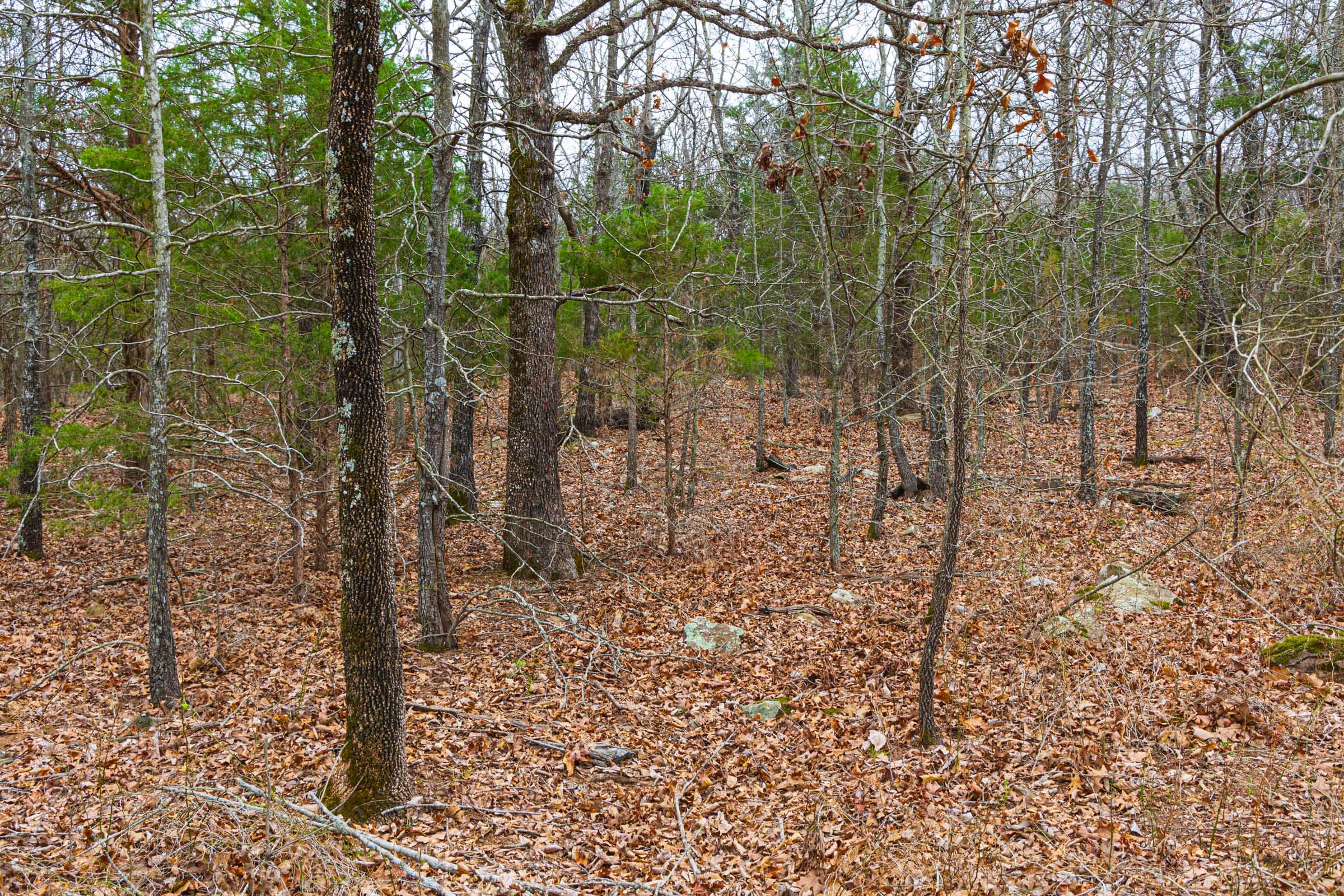 Reserves At Cattail Cove Phase I Tract 16 photo 13