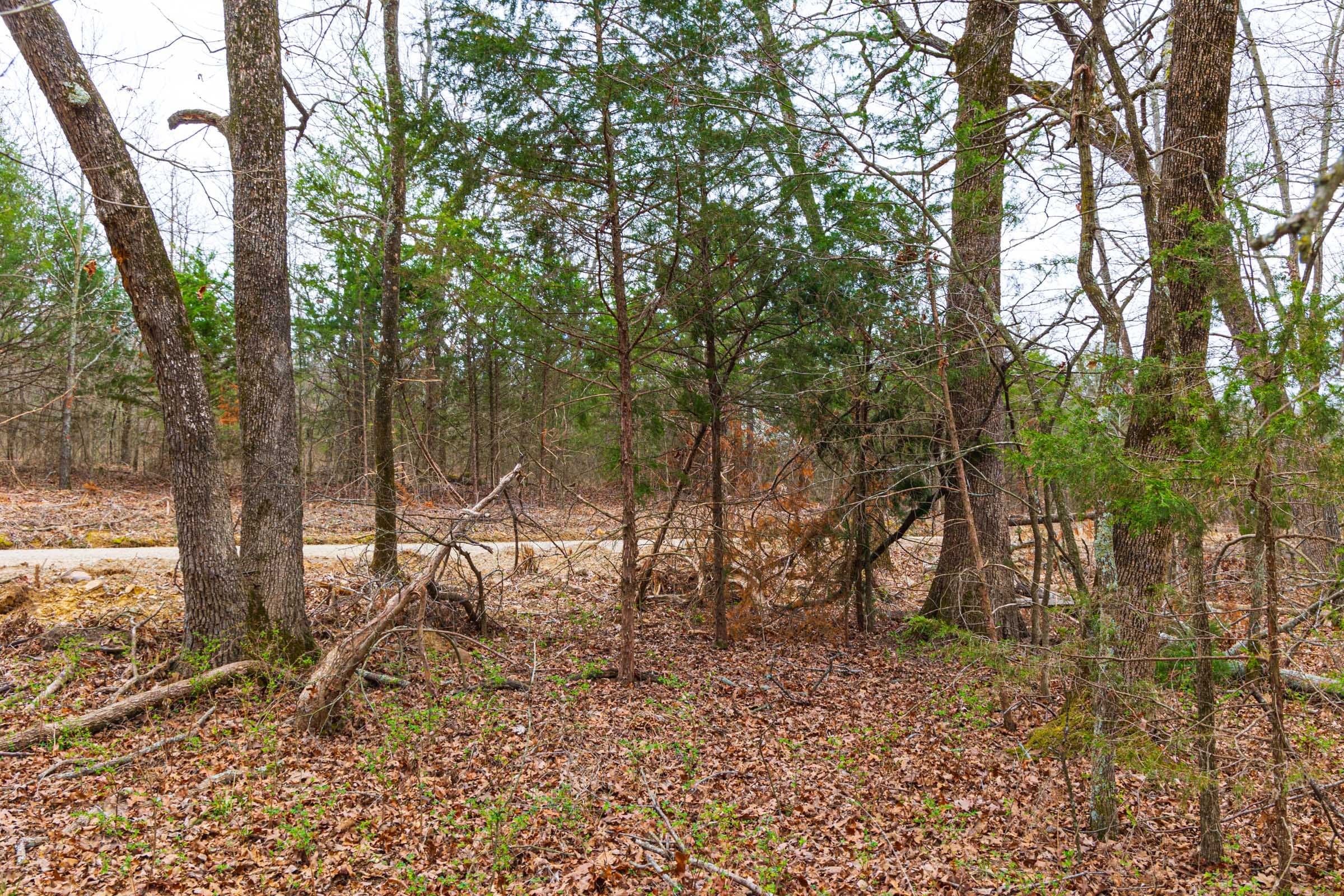Reserves At Cattail Cove Phase I Tract 16 photo 12