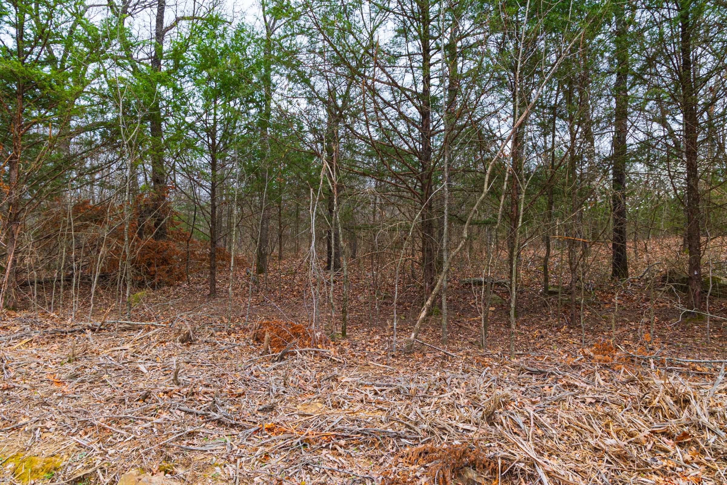 Reserves At Cattail Cove Phase I Tract 16 photo 11
