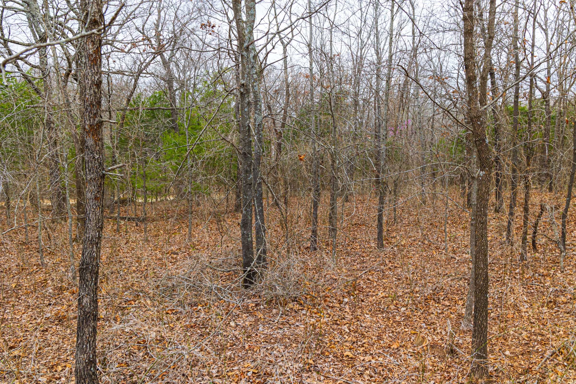 Reserves At Cattail Cove Phase I Tract 16 photo 10