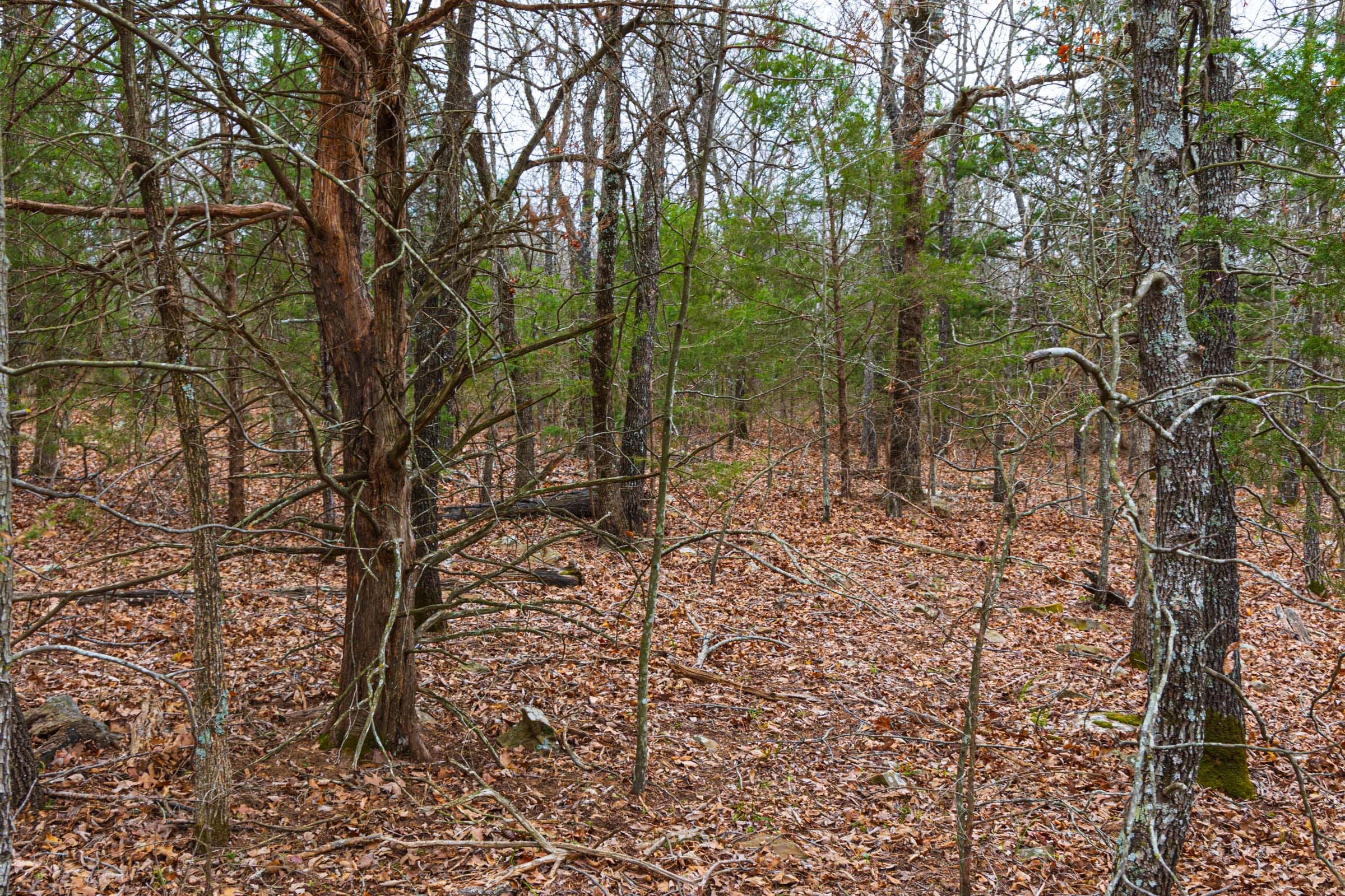 Reserves At Cattail Cove Phase I Tract 16 photo 8