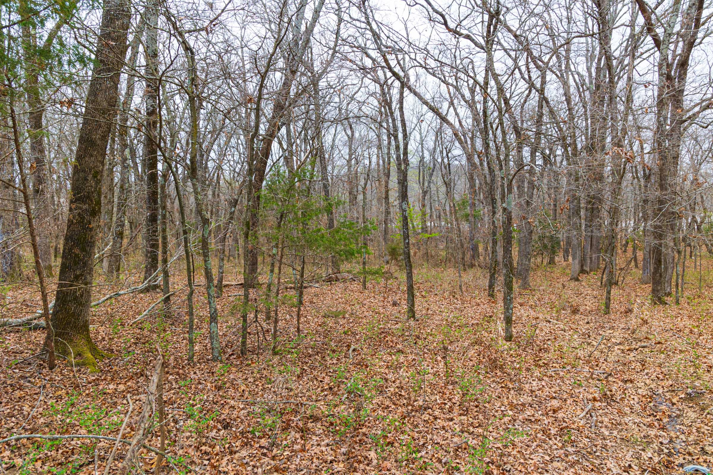 Reserves At Cattail Cove Phase I Tract 16 photo 7