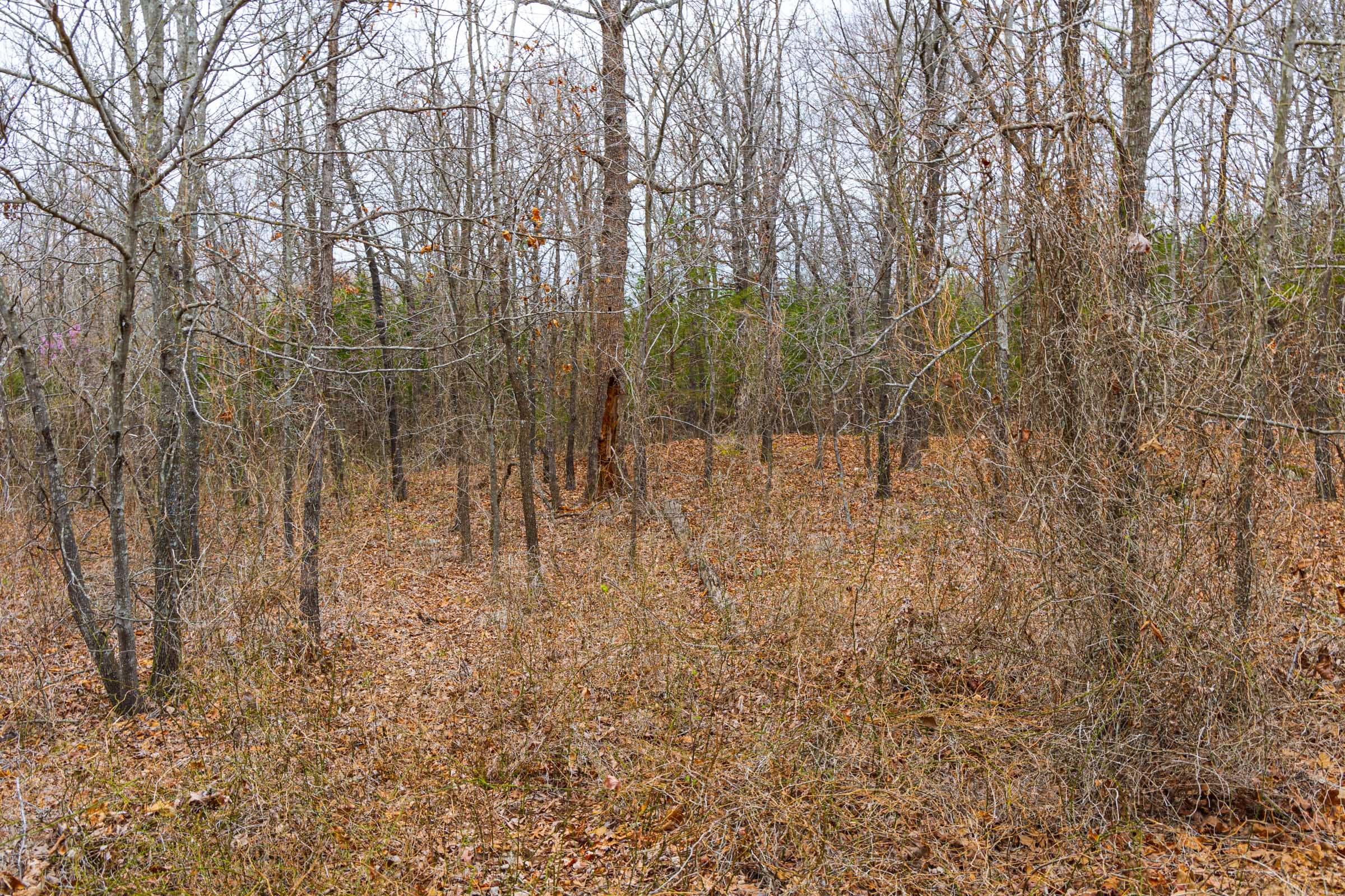 Reserves At Cattail Cove Phase I Tract 16 photo 5