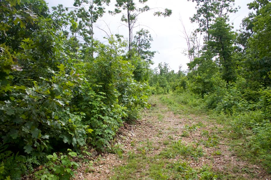 Thunder Mountain Ranch Tract 48 photo 1