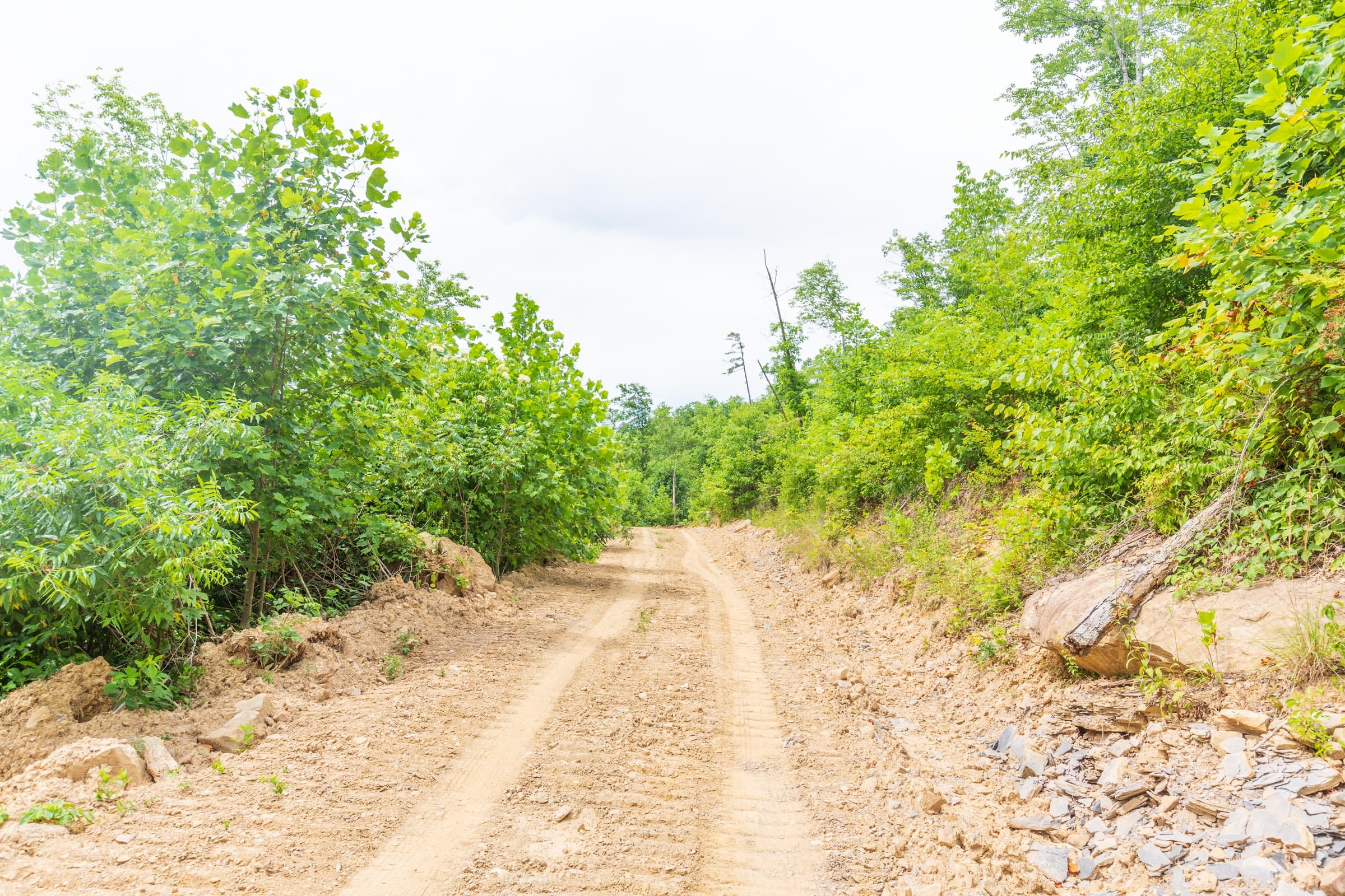 River’s Edge Tract 8 photo 8