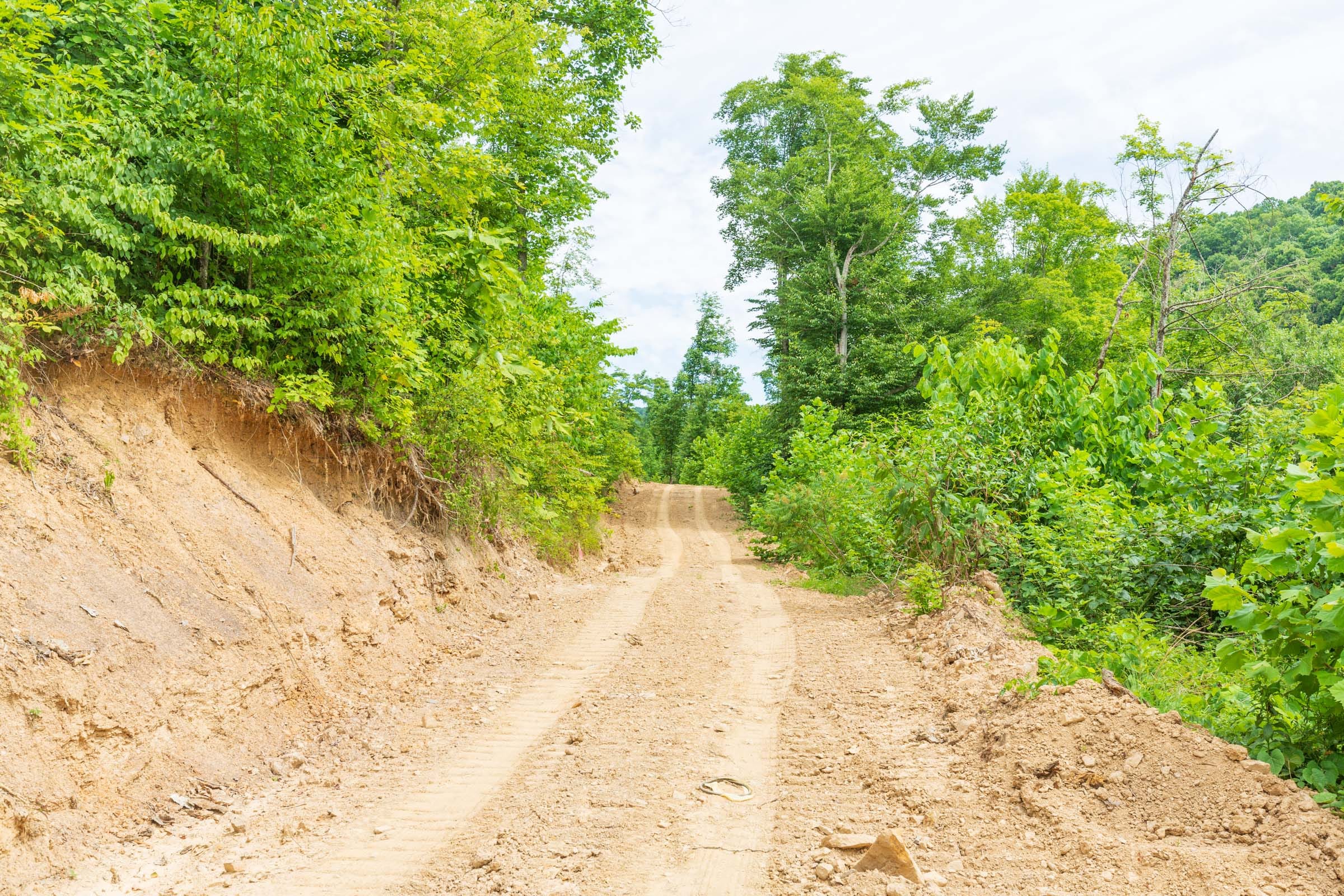 River’s Edge Tract 8 photo 4