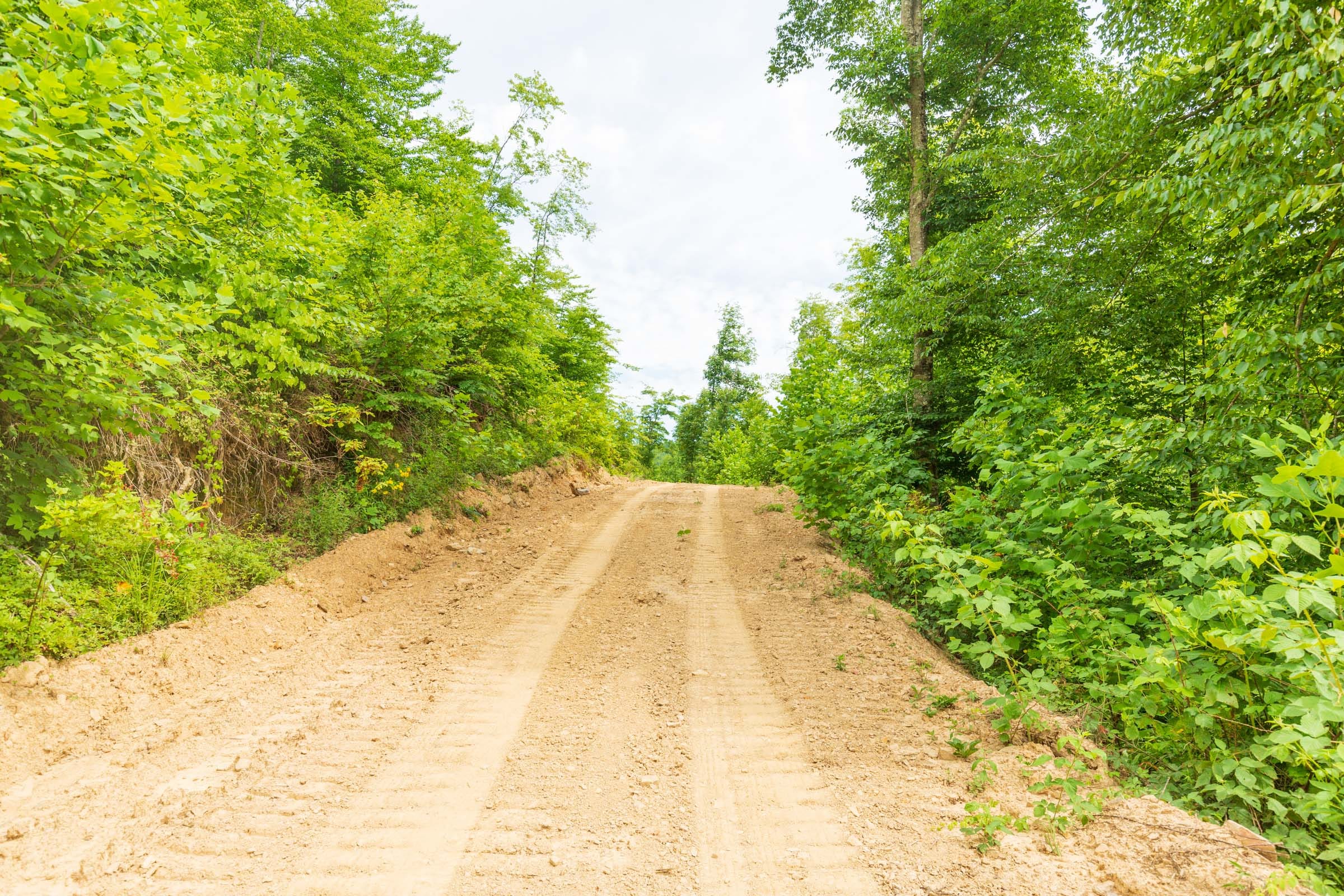 River’s Edge Tract 8 photo 11