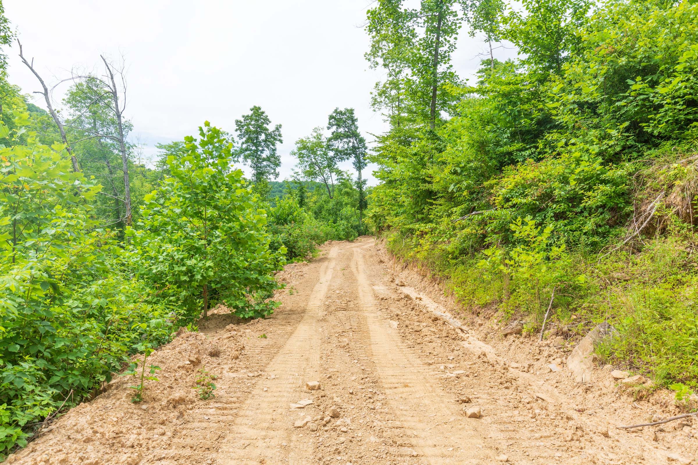 River’s Edge Tract 8 photo 14