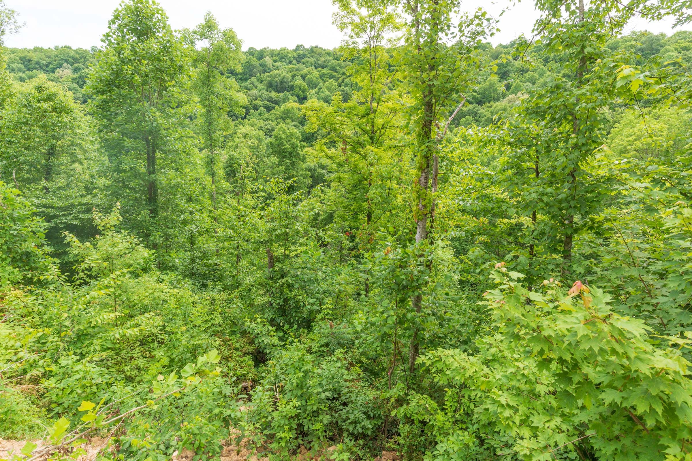 River’s Edge Tract 8 photo 13