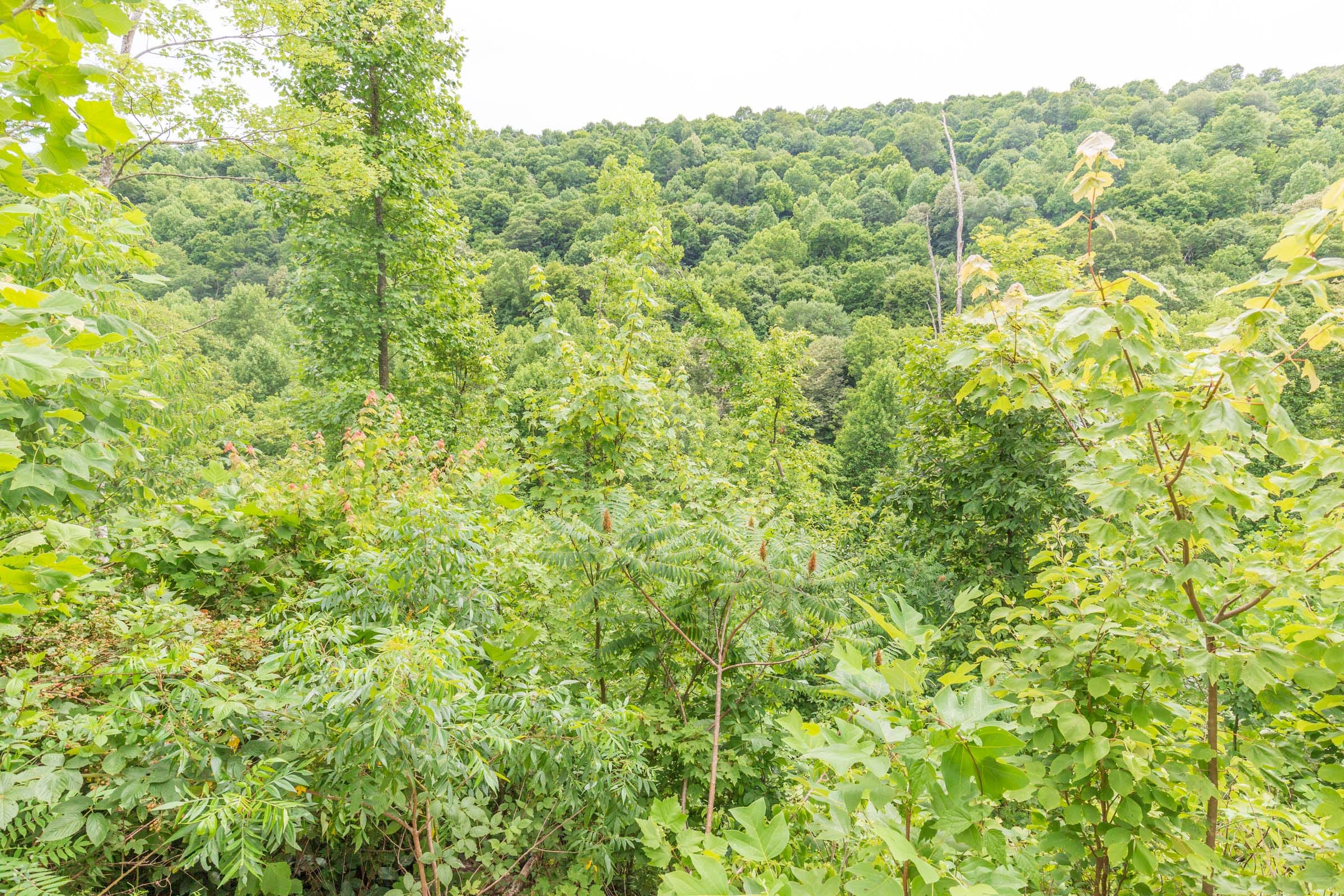 River’s Edge Tract 8 photo 15