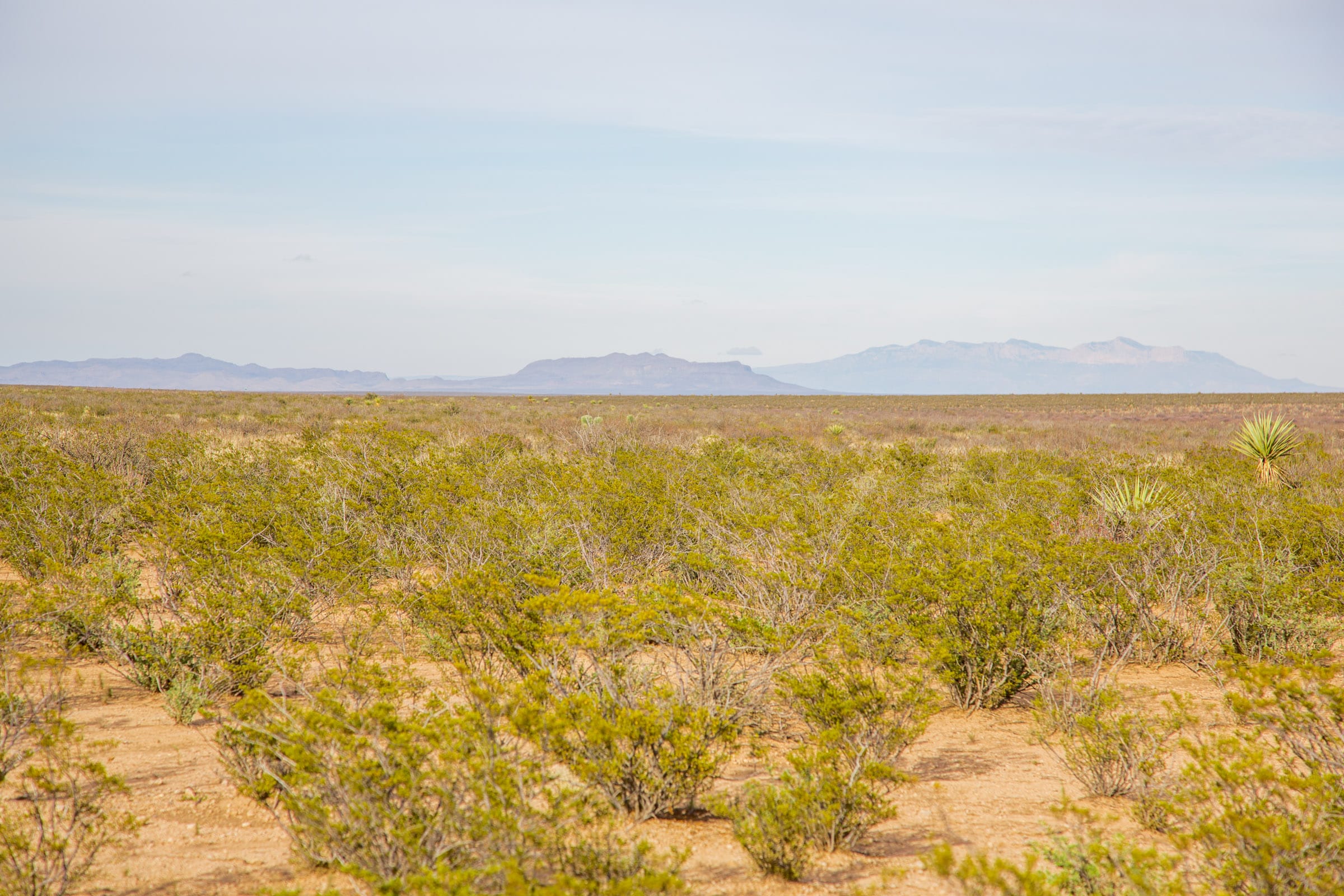Sunset Ranches Tract 5 photo 1