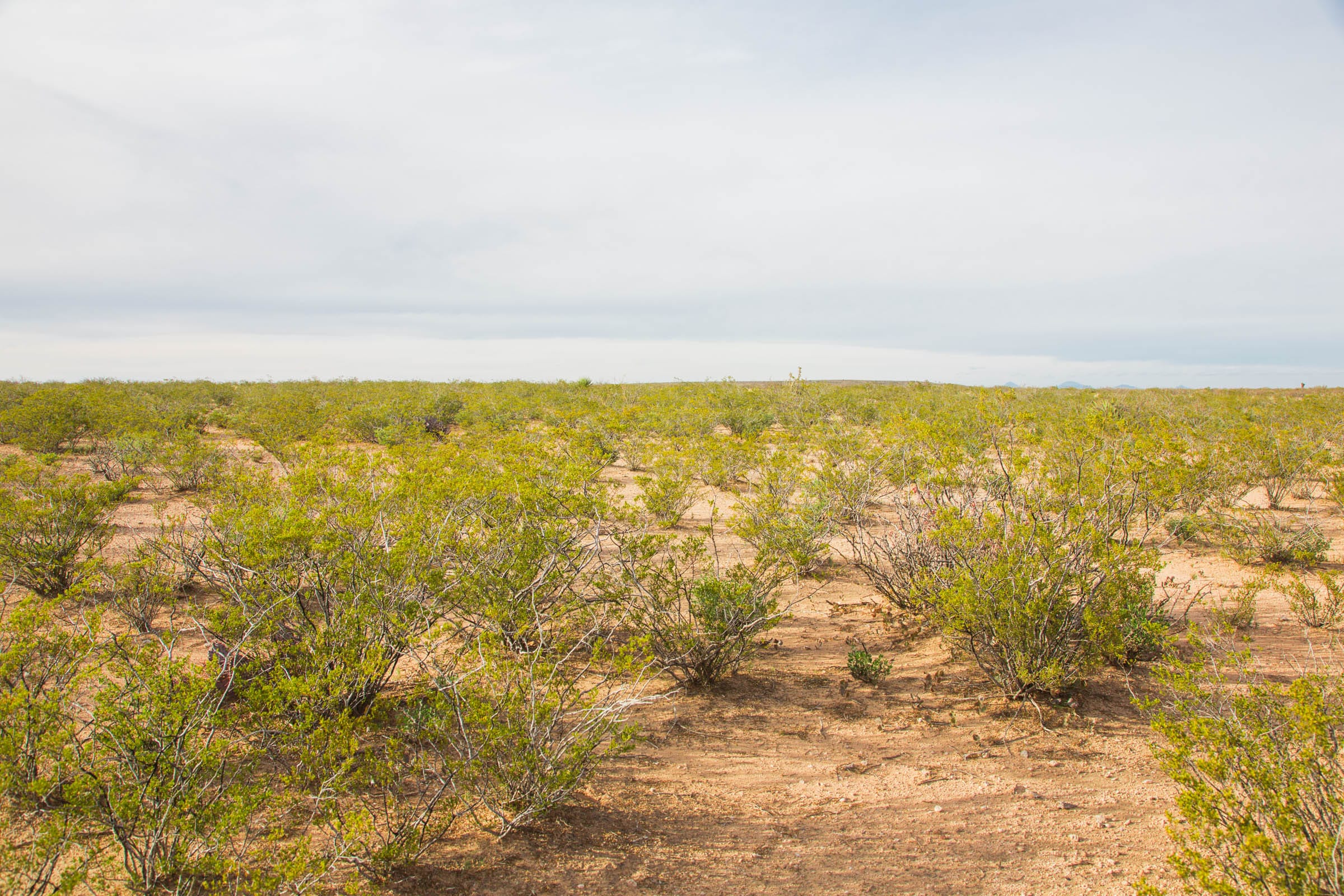 Sunset Ranches Tract 5 photo 5
