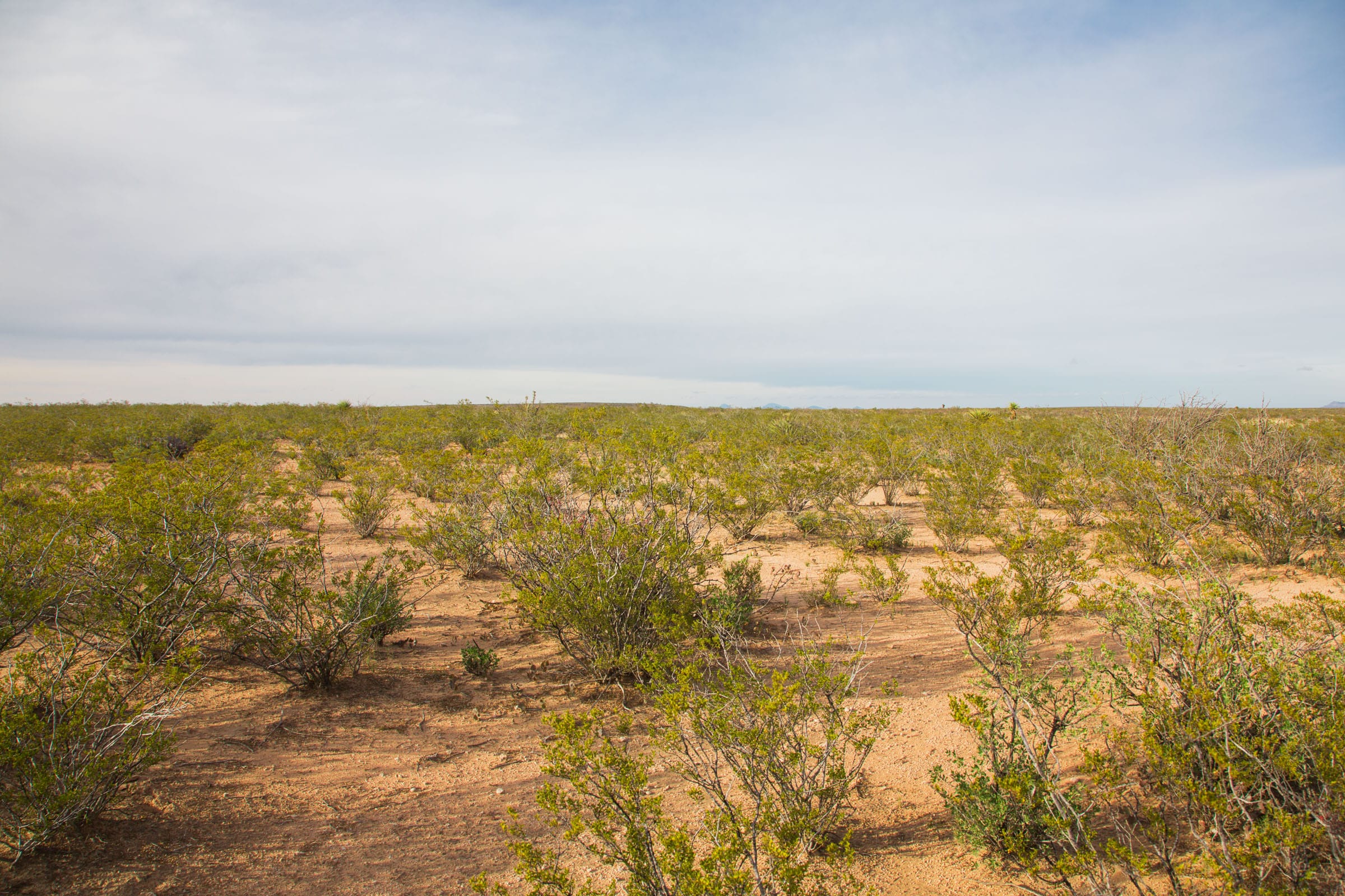 Sunset Ranches Tract 5 photo 8