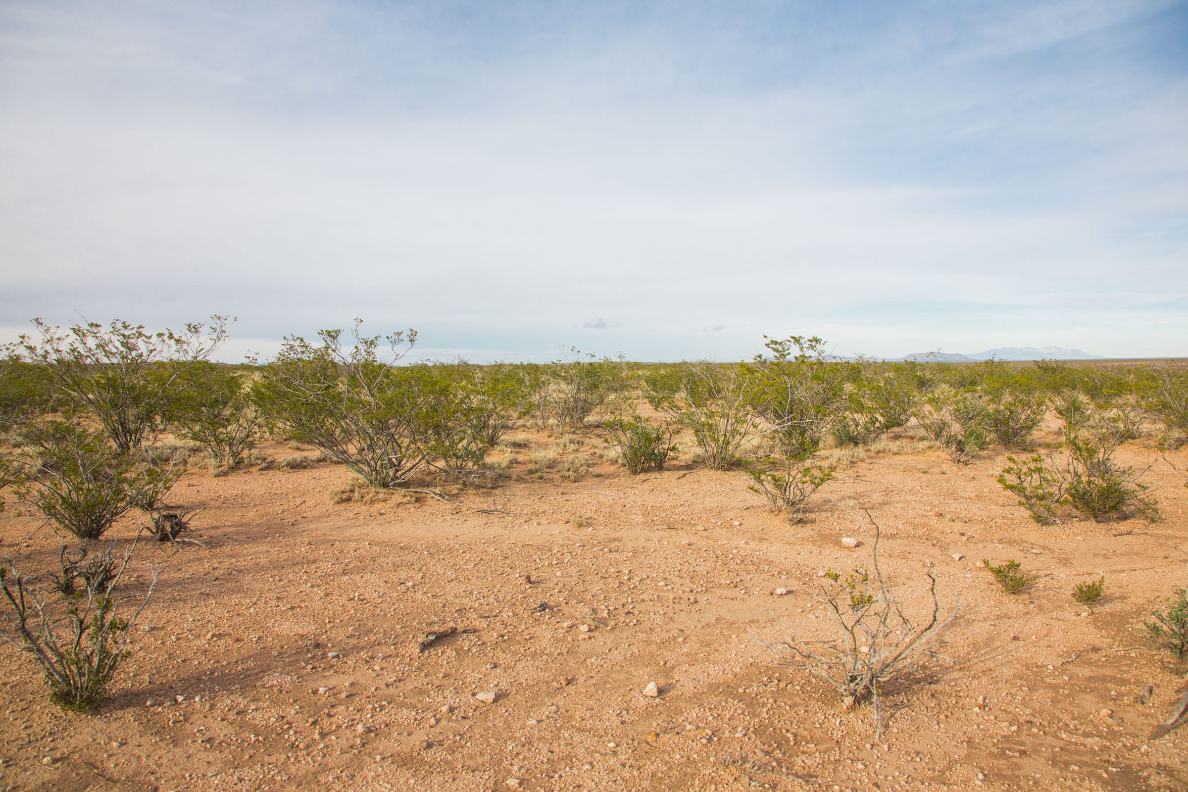 Sunset Ranches Tract 5 photo 11
