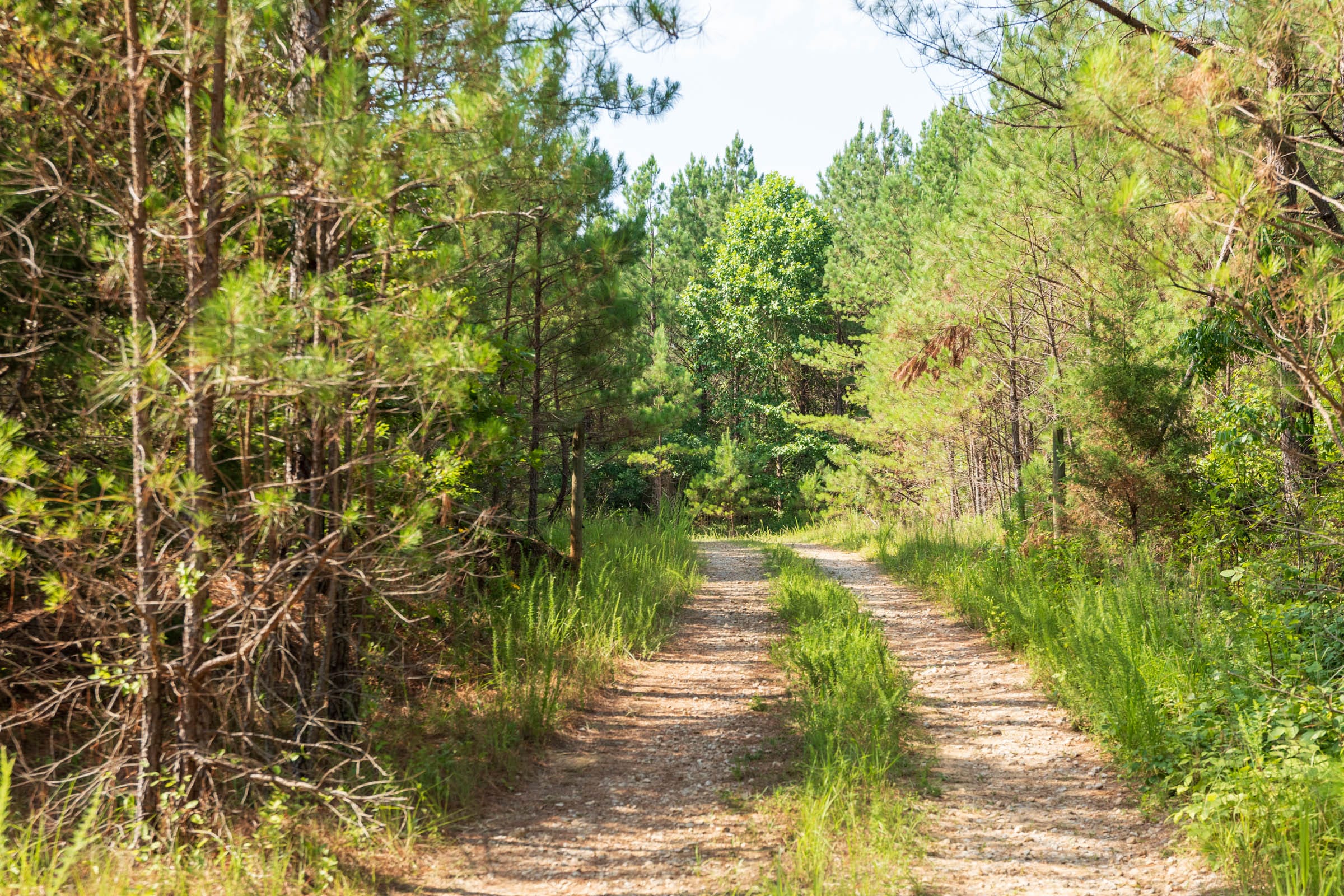 Whiskey Ridge Tract 55 photo 9