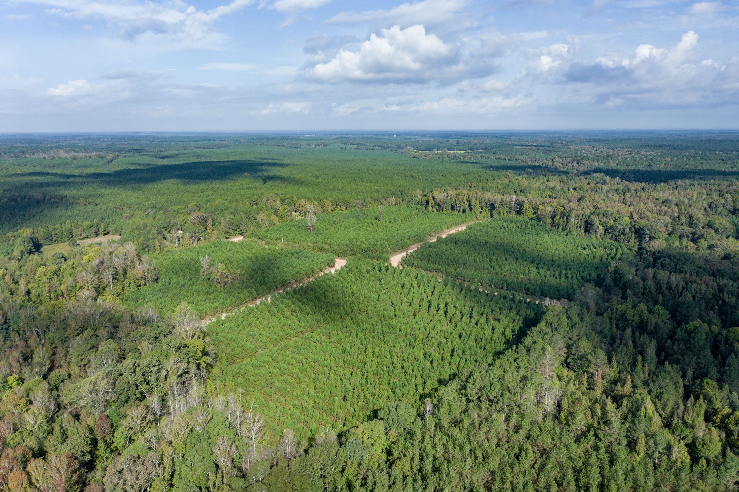 Brentwood Tract 8 photo 12