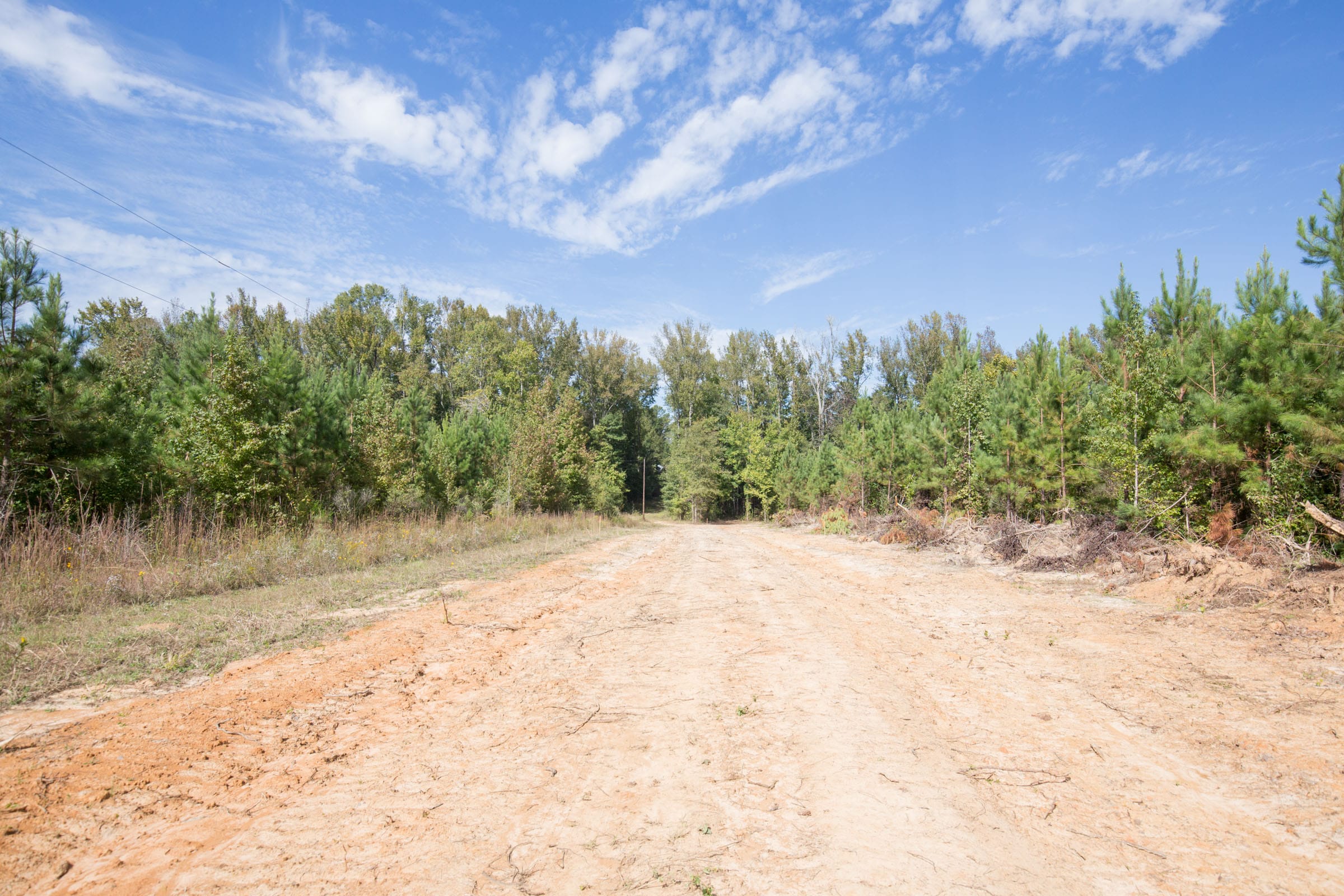 Brentwood Tract 8 photo 5