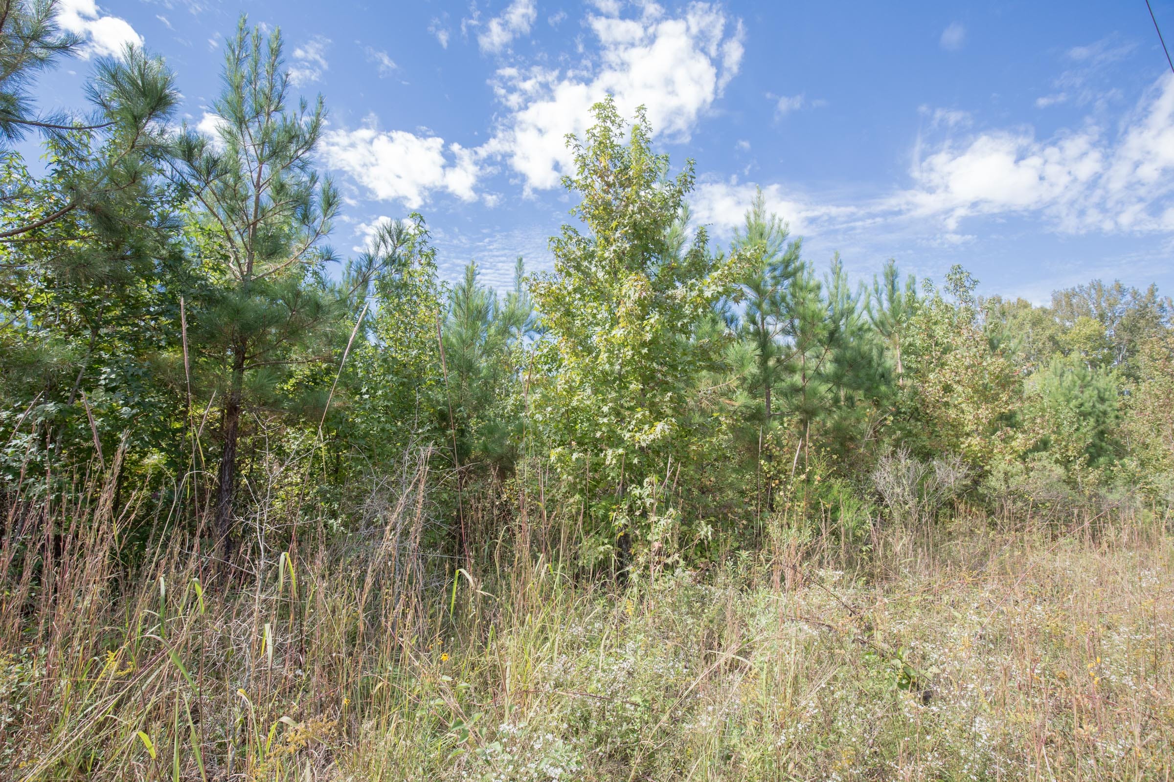 Brentwood Tract 8 photo 6