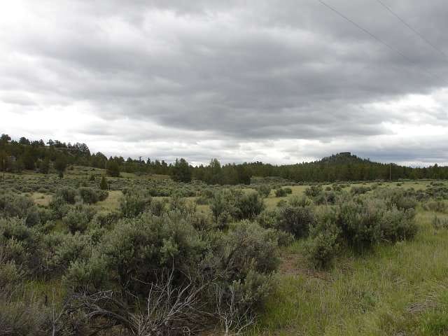 California Pines Tract 75 photo 5