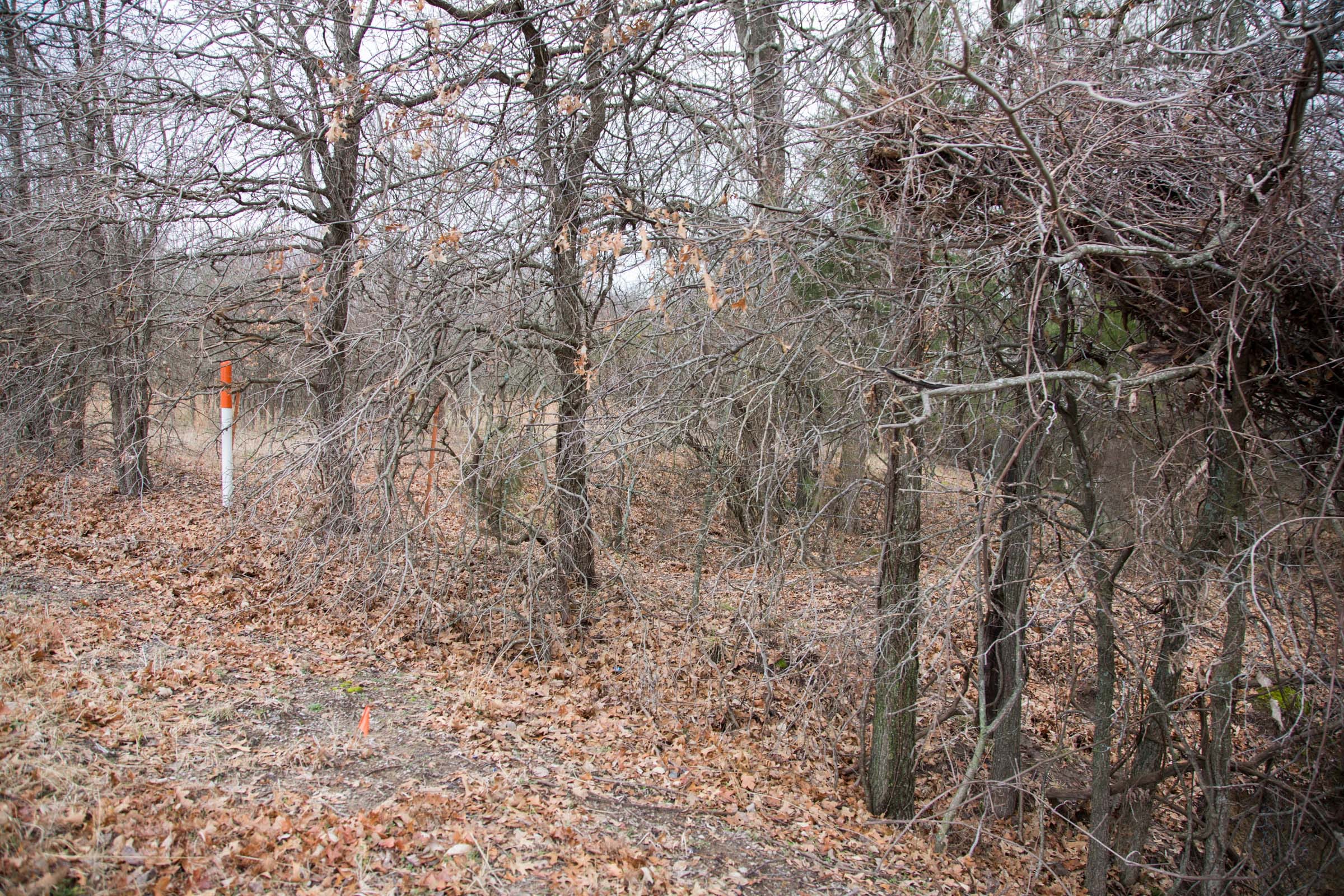 Canadian Plains Tract 5 photo 3