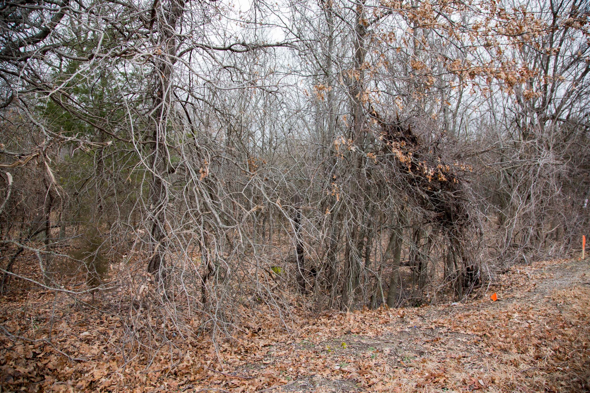 Canadian Plains Tract 5 photo 4