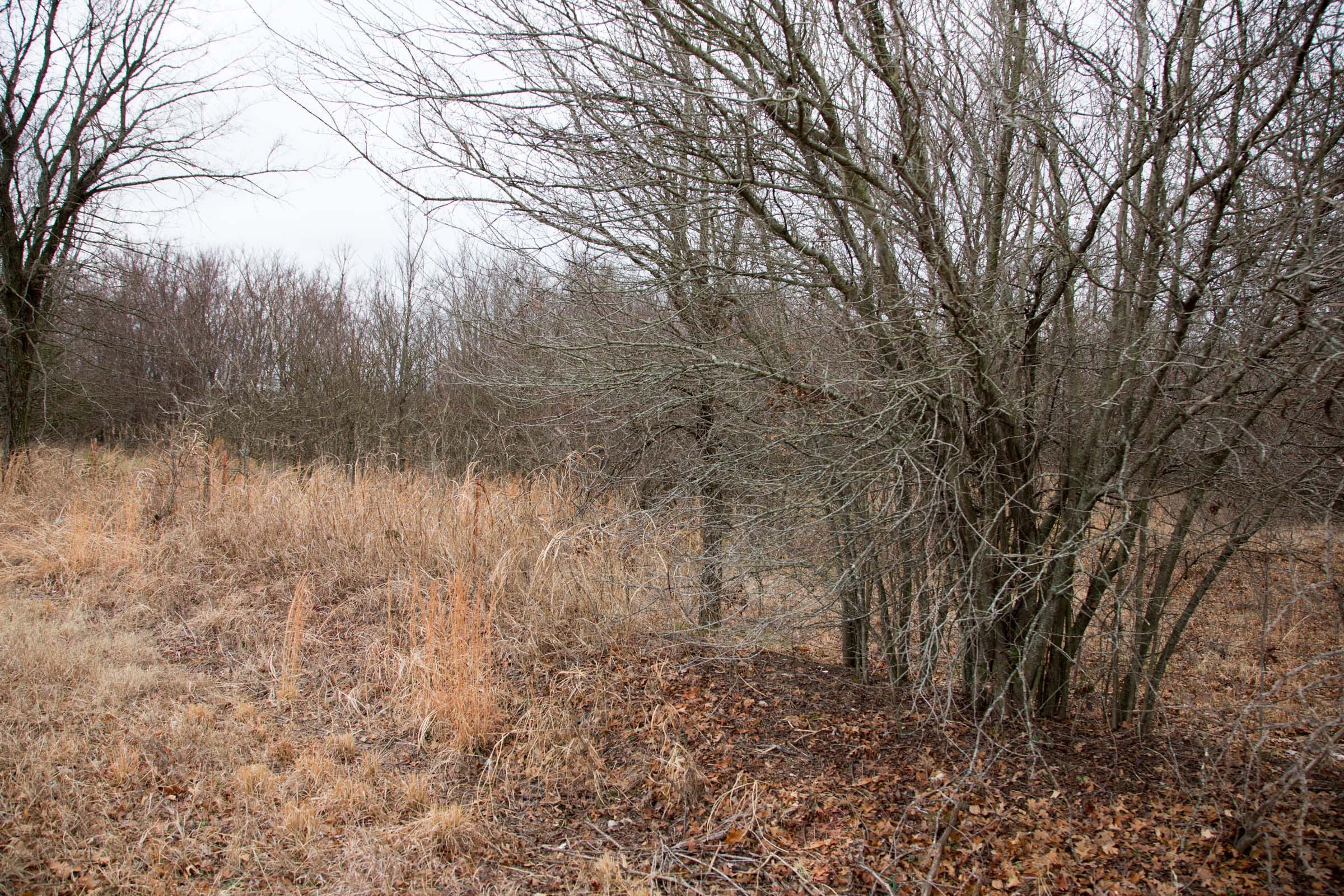 Canadian Plains Tract 5 photo 5