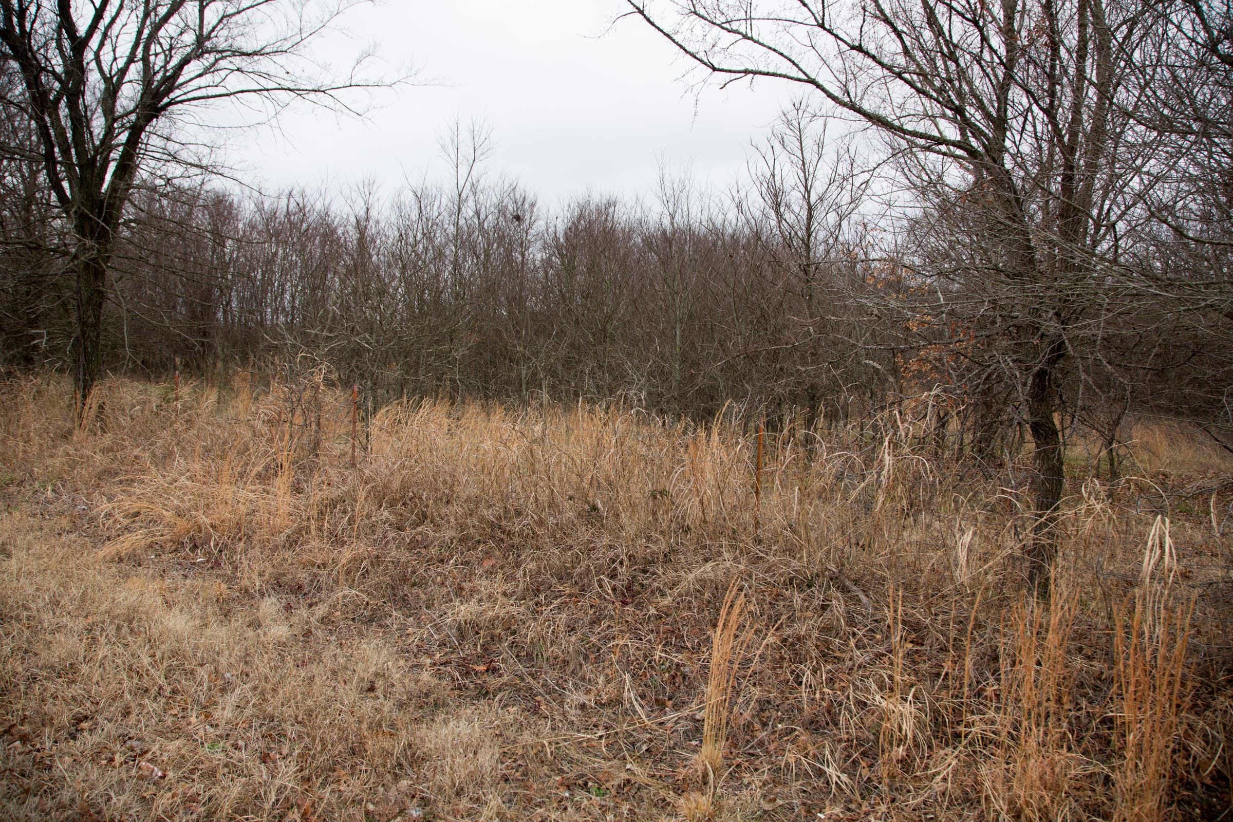 Canadian Plains Tract 5 photo 6
