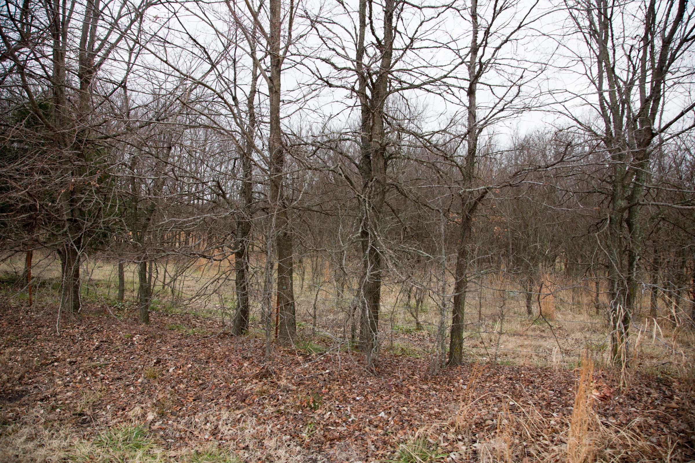 Canadian Plains Tract 5 photo 8