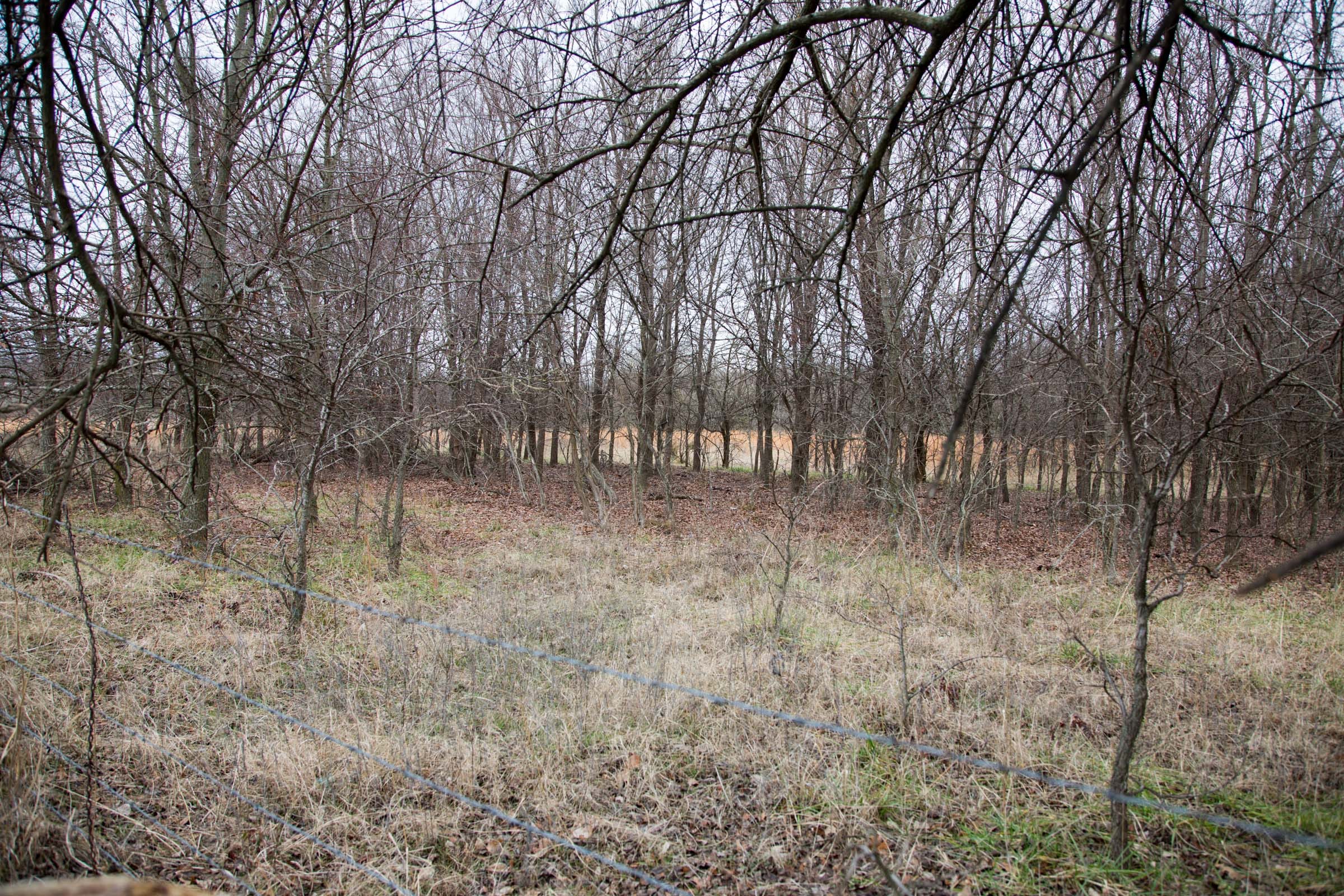 Canadian Plains Tract 5 photo 10