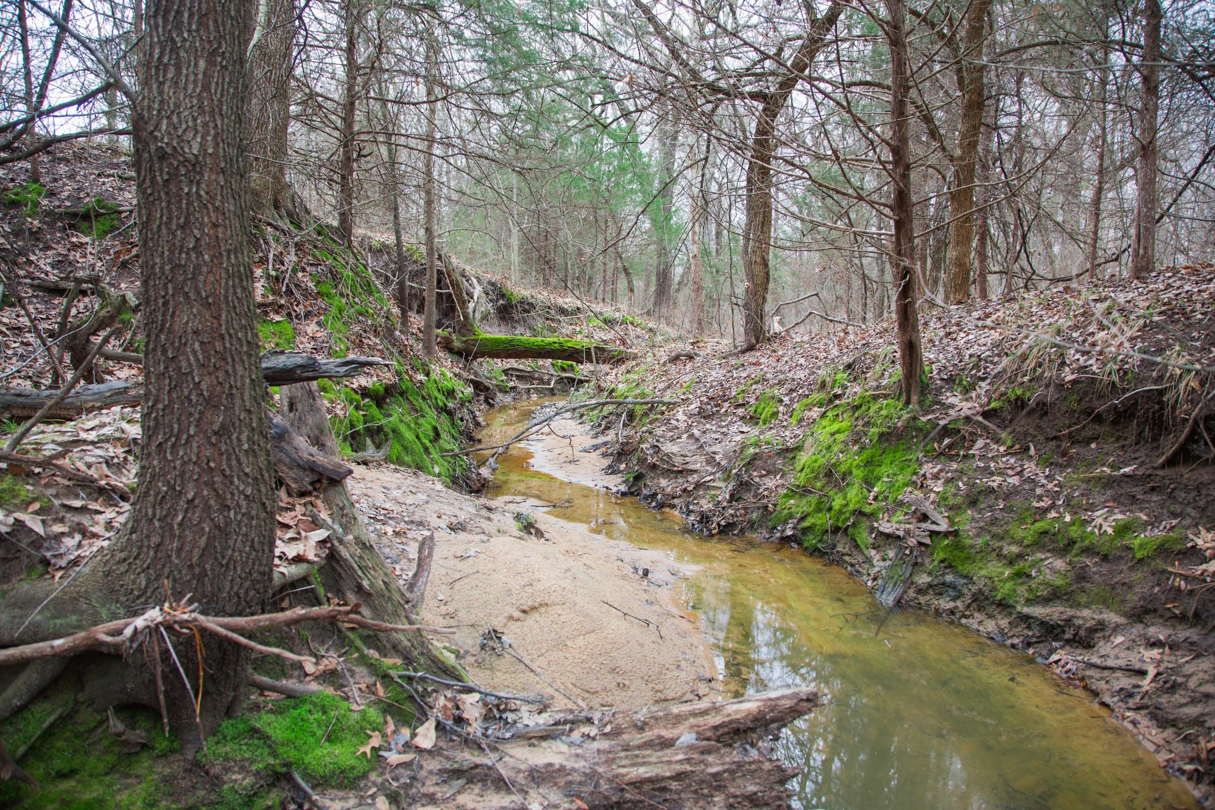 Canadian Plains Tract 5 photo 13