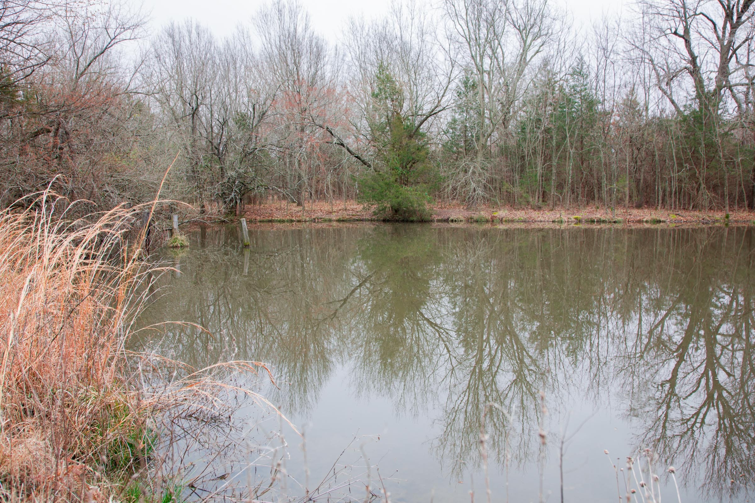 Canadian Plains Tract 5 photo 16