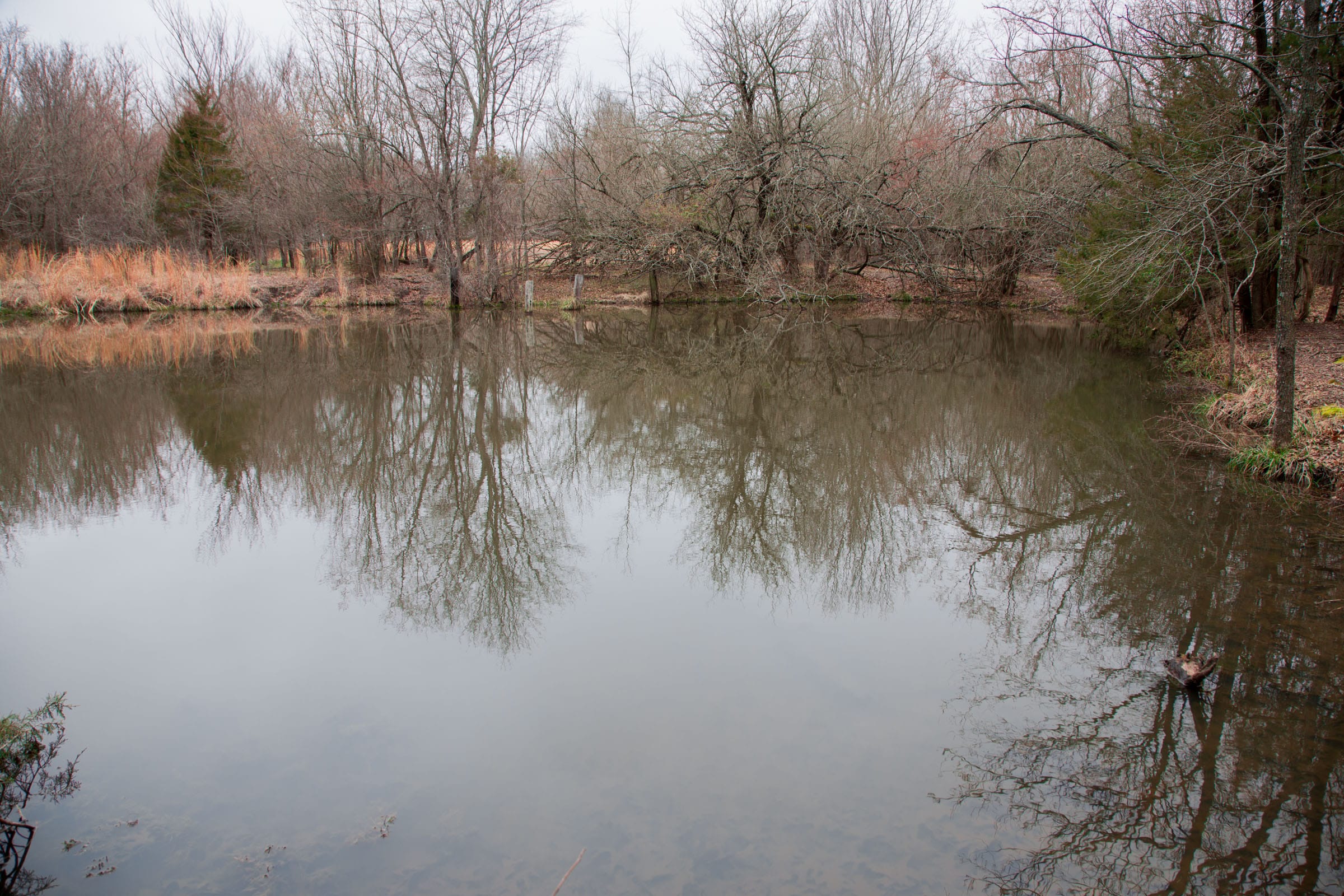 Canadian Plains Tract 5 photo 17