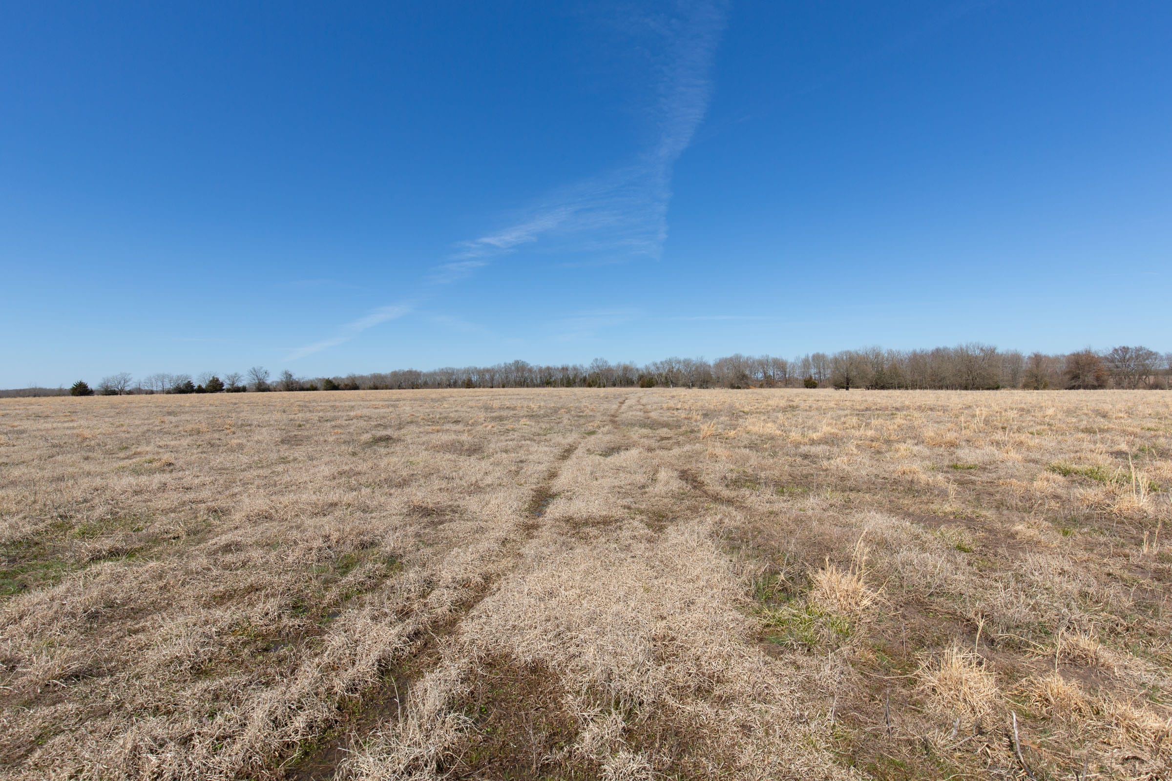 Wishing Star Ranch Tract 24 photo 3