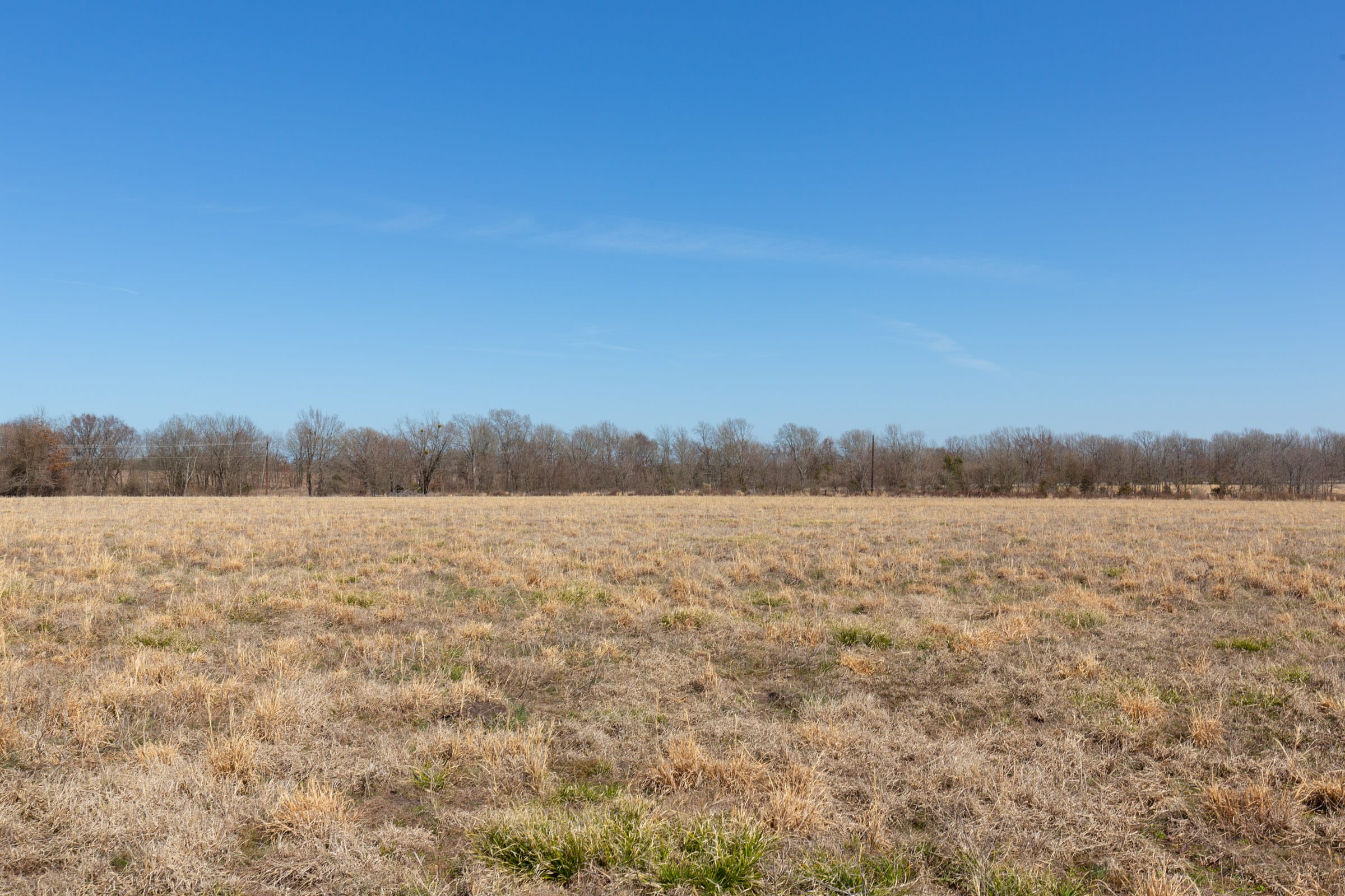 Wishing Star Ranch Tract 24 photo 4