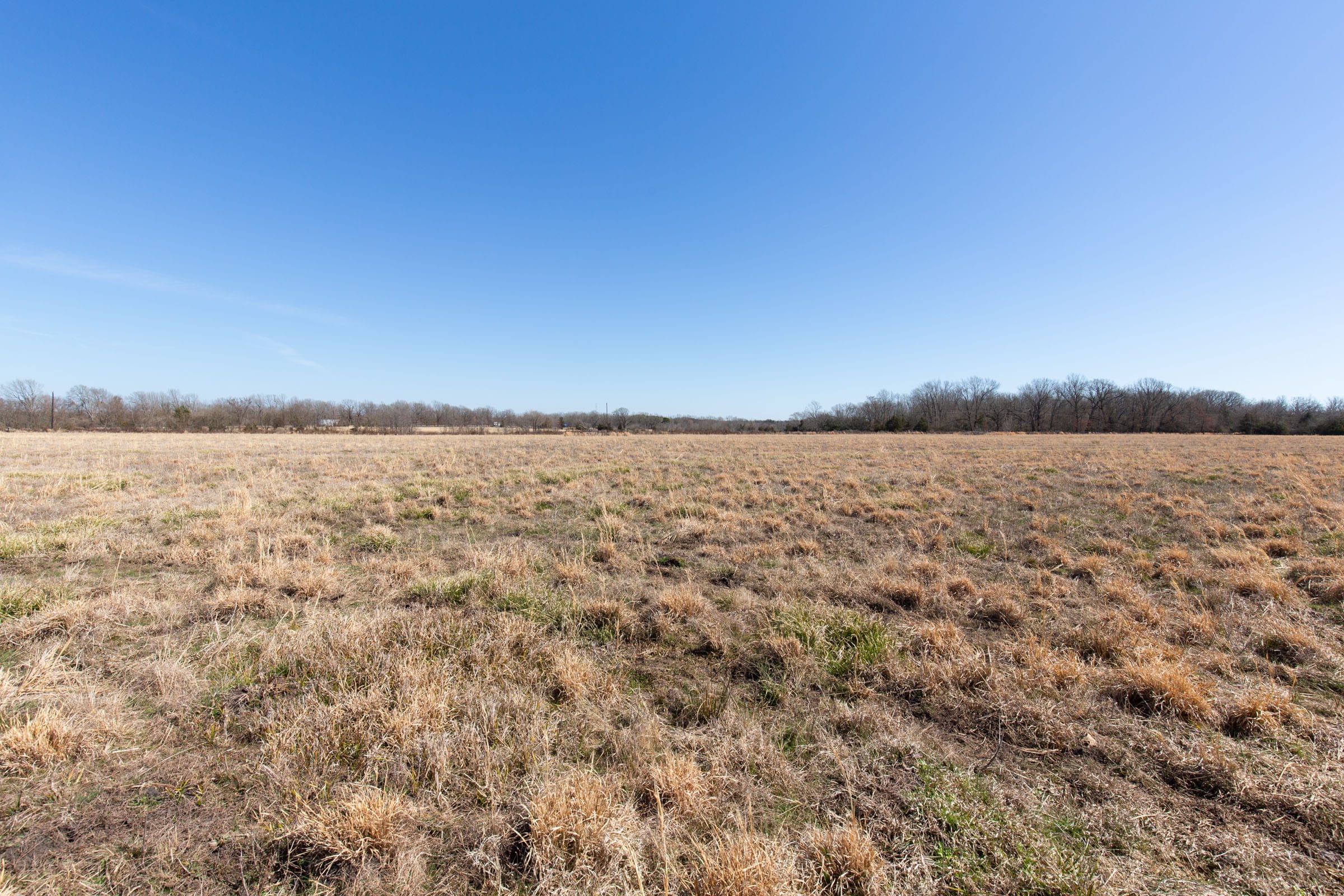 Wishing Star Ranch Tract 24 photo 8
