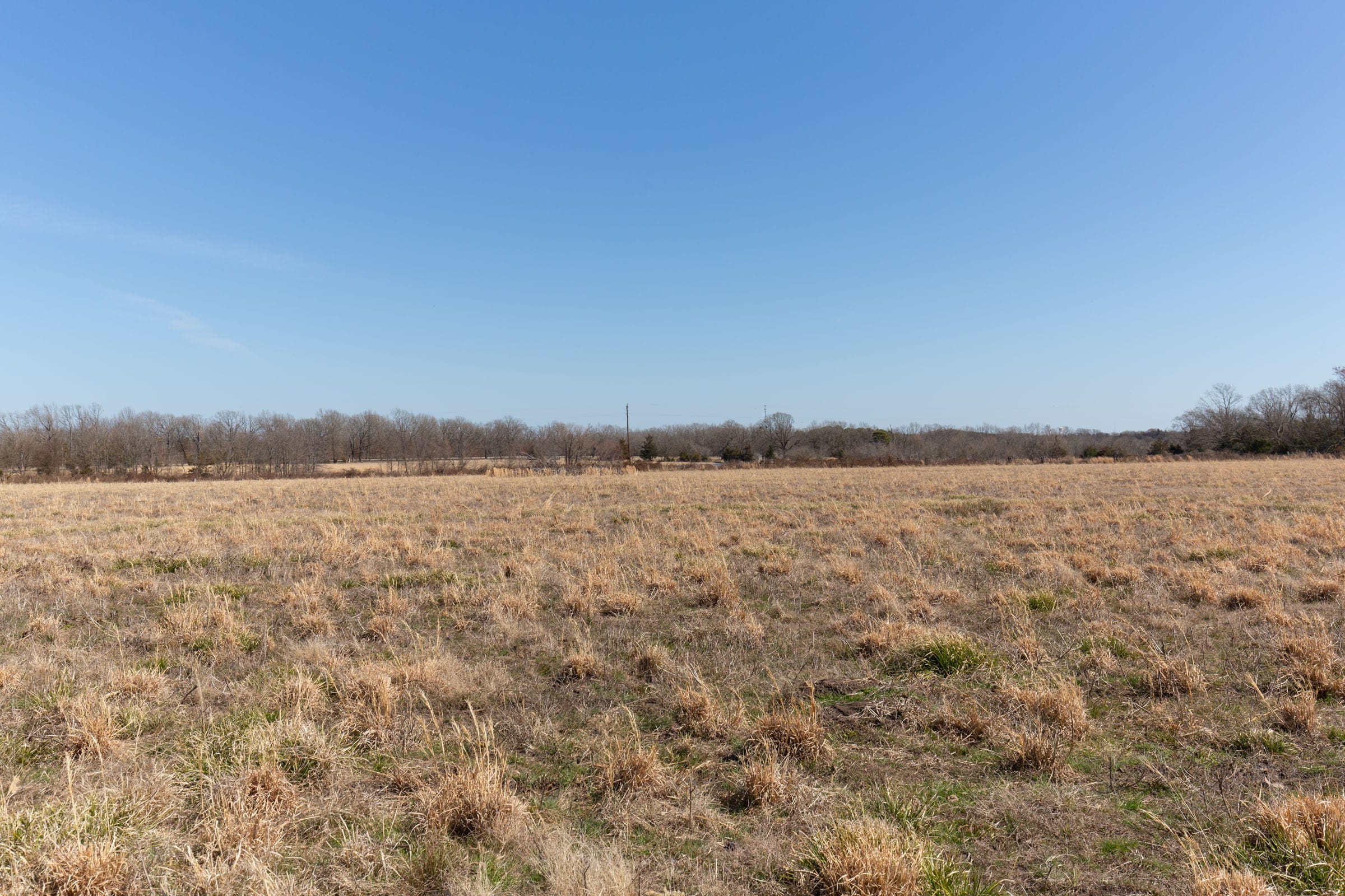 Wishing Star Ranch Tract 24 photo 11