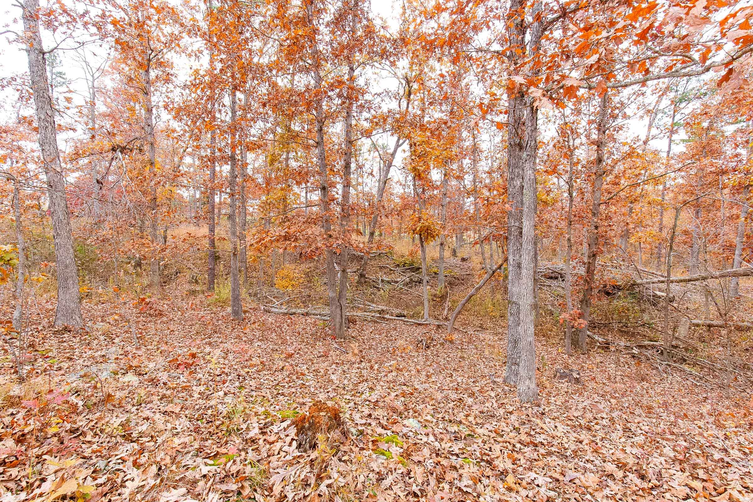 Hawkcrest Tract 14 photo 9