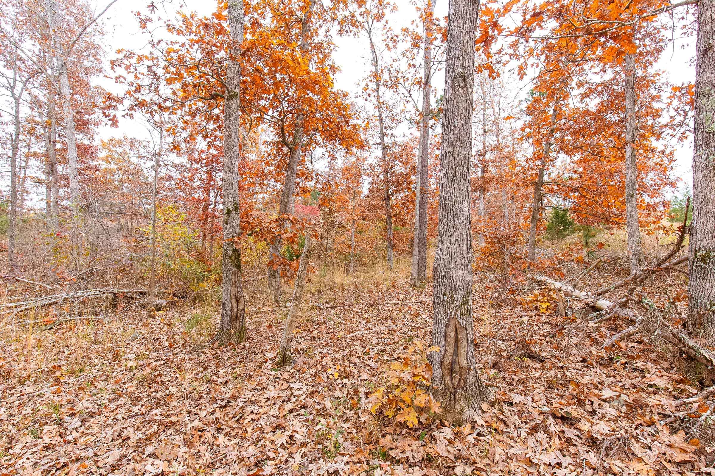 Hawkcrest Tract 14 photo 11