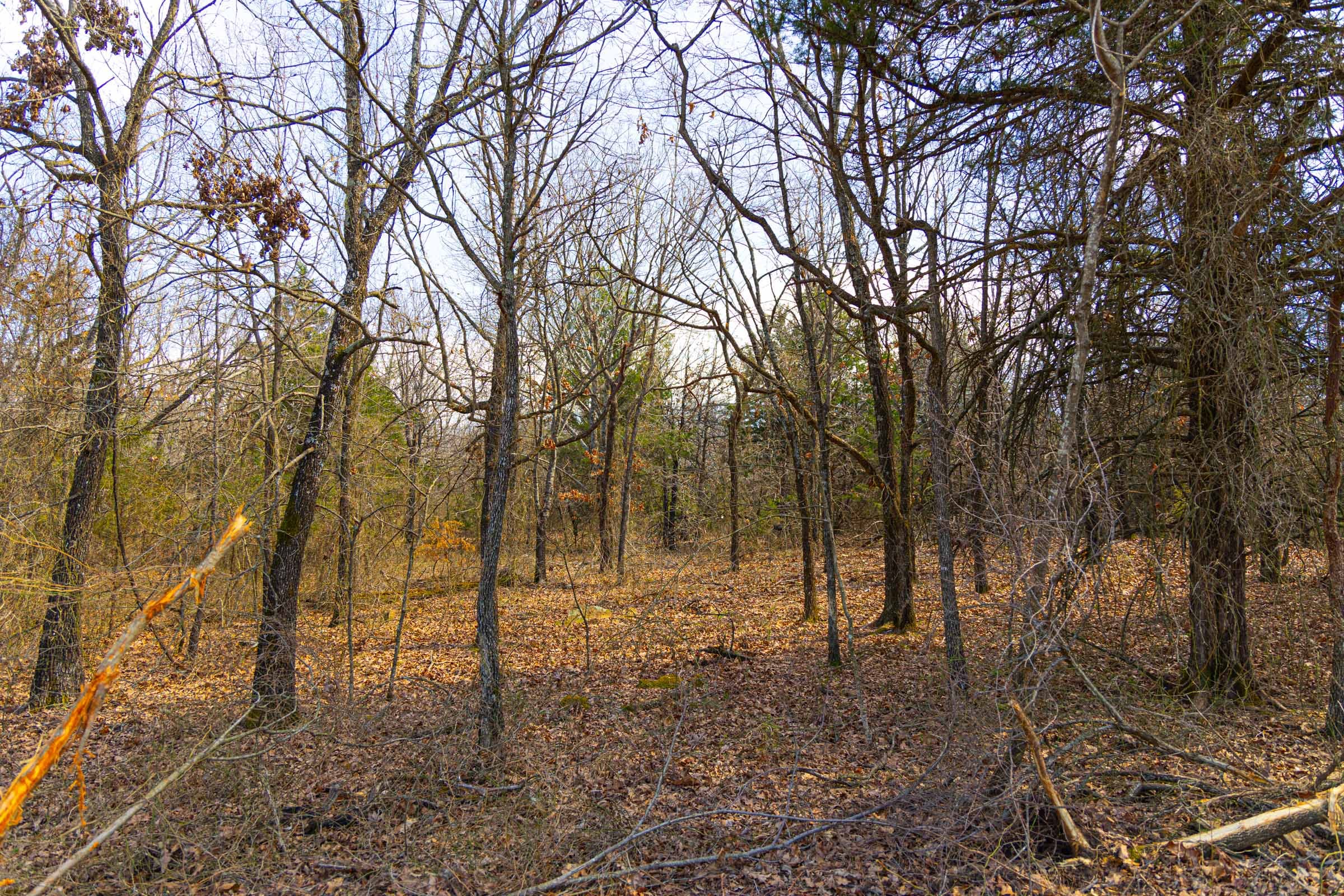 Reserves At Cattail Cove Phase I Tract 23 photo 7