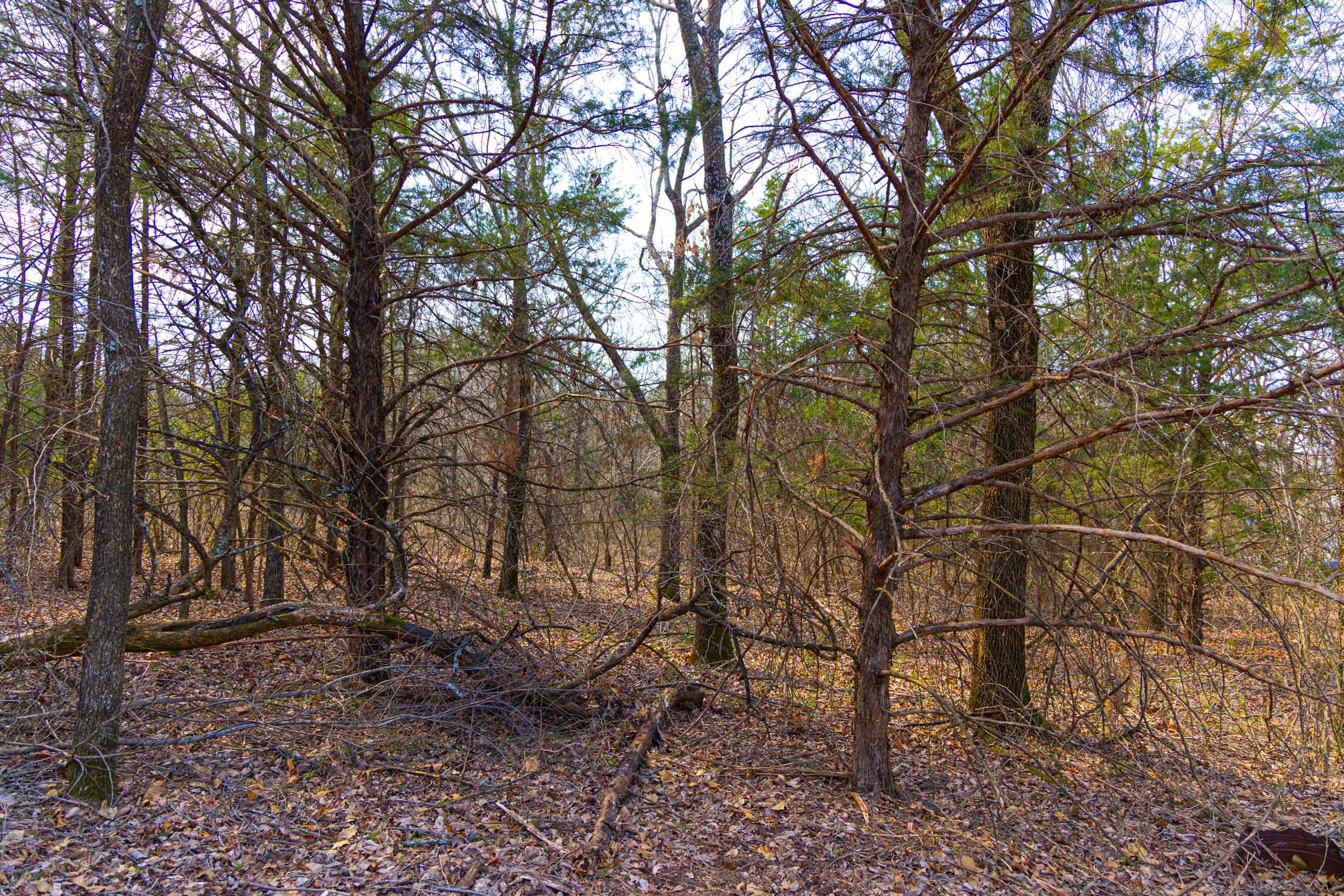 Reserves At Cattail Cove Phase I Tract 23 photo 6