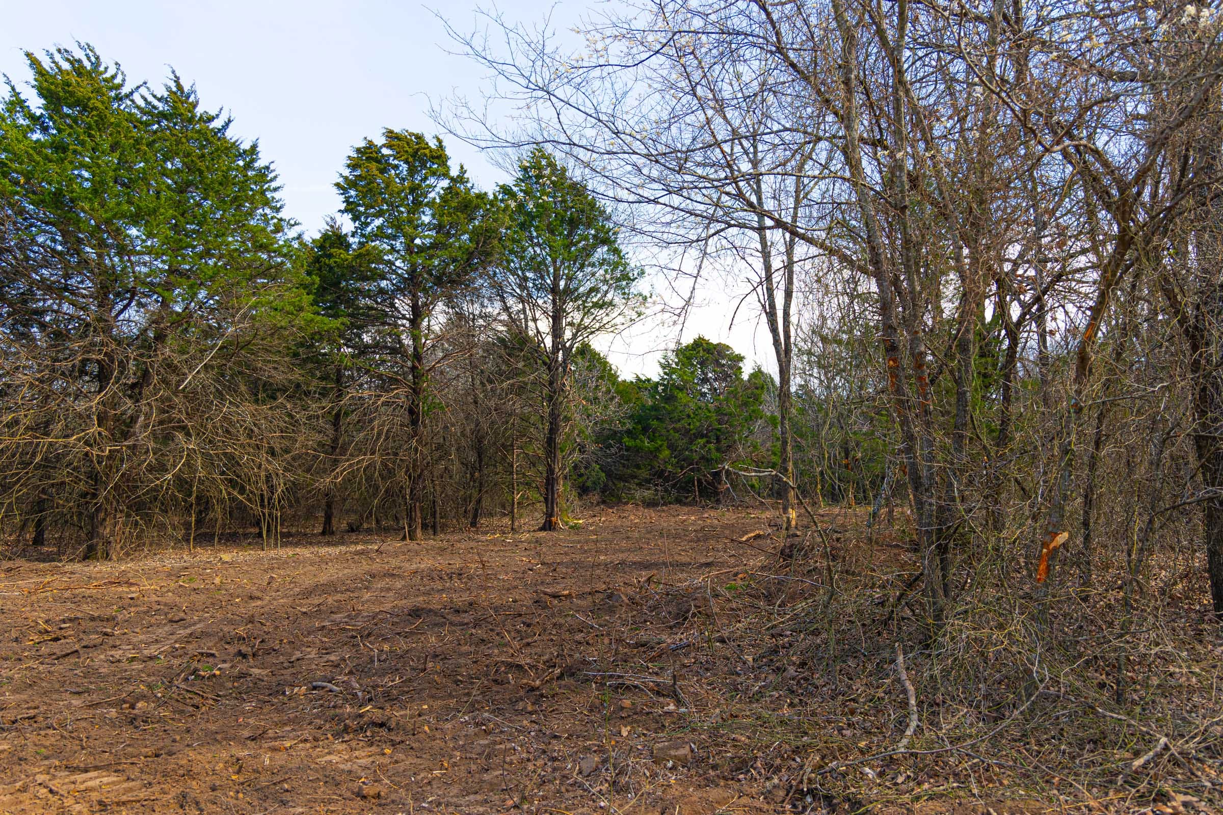 Reserves At Cattail Cove Phase I Tract 23 photo 5