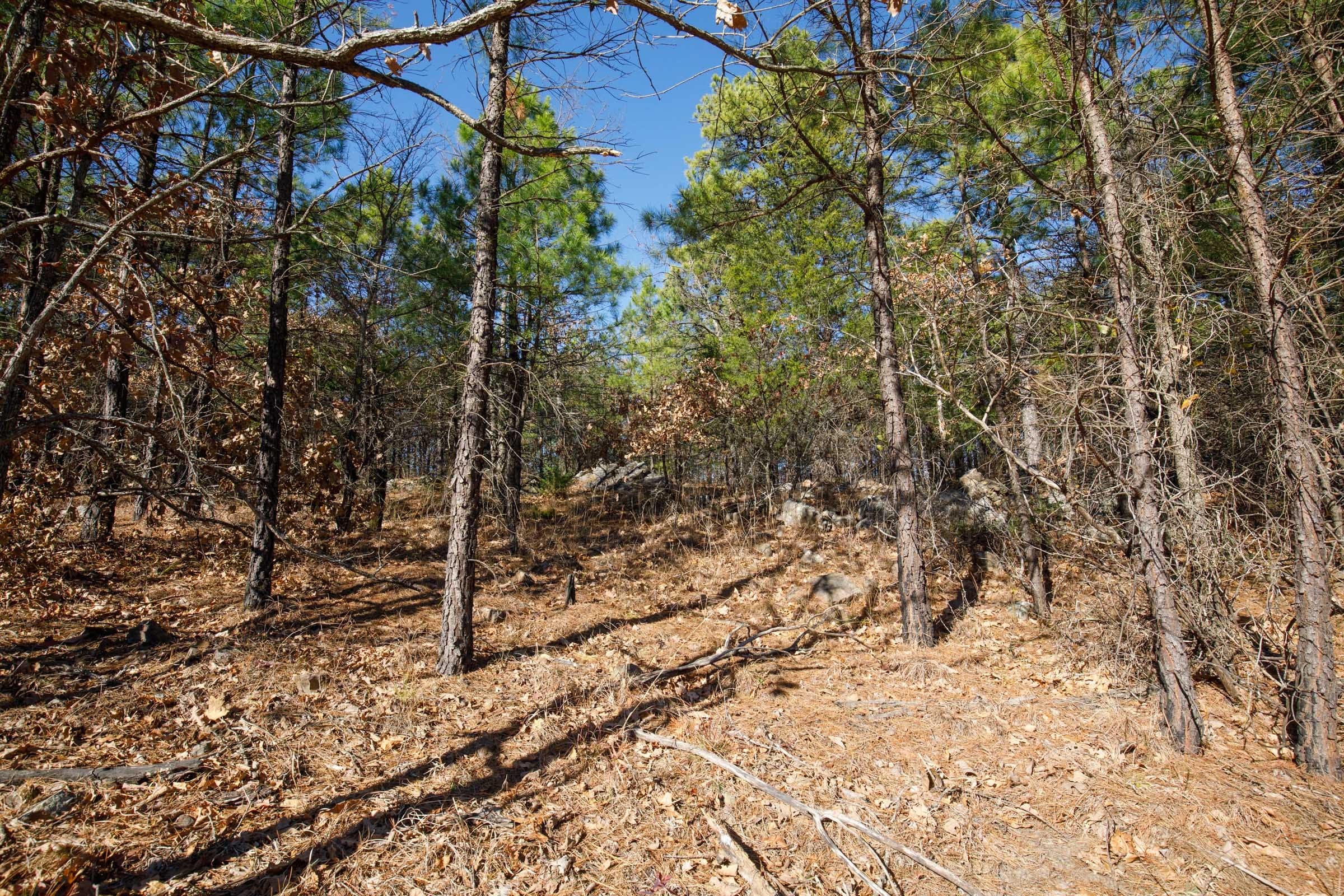 Stone Bridge Phase II Tract 95 photo 10