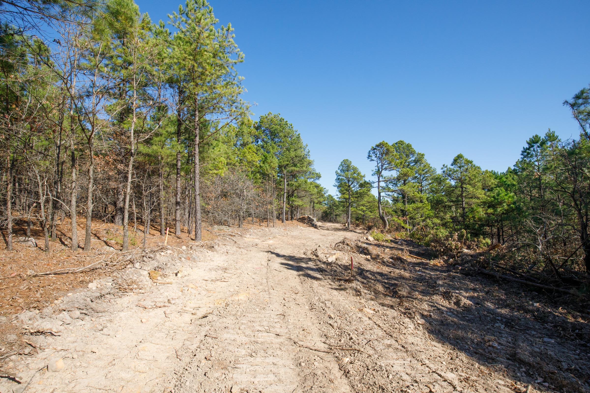 Stone Bridge Phase II Tract 95 photo 1