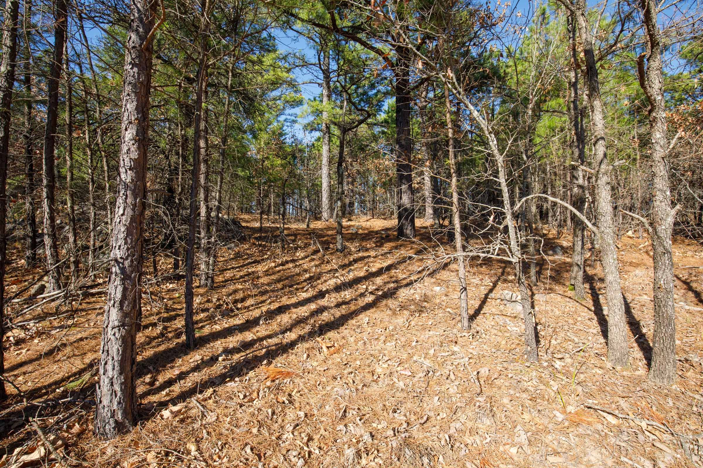 Stone Bridge Phase II Tract 95 photo 11
