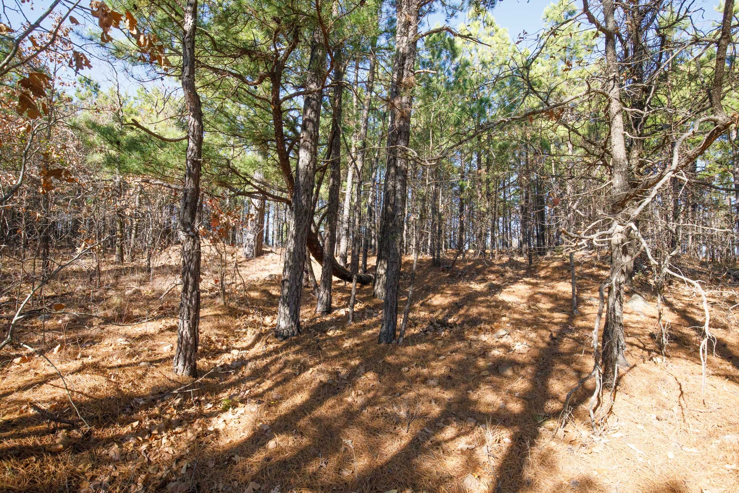 Stone Bridge Phase II Tract 95 photo 12