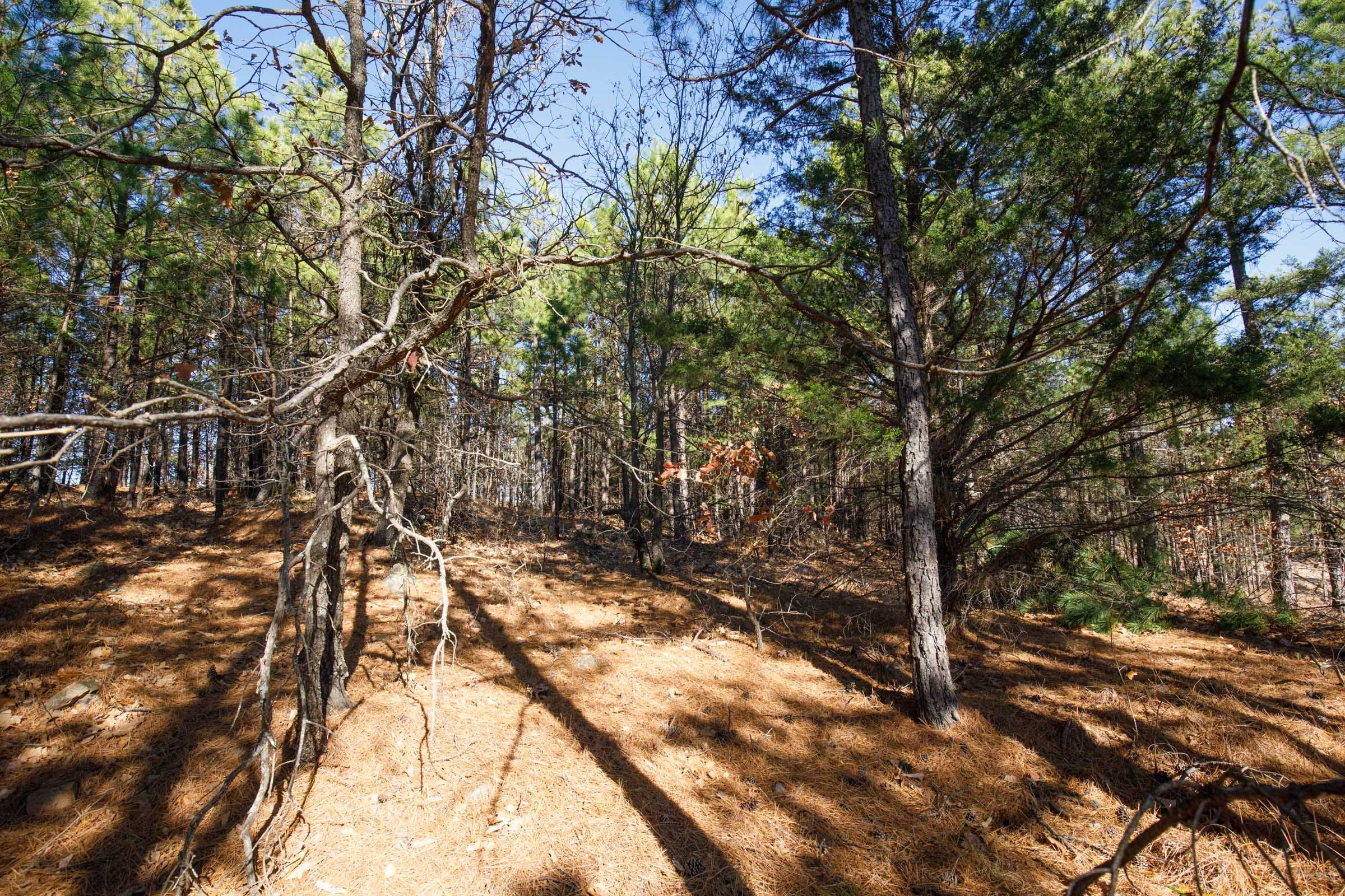 Stone Bridge Phase II Tract 95 photo 13