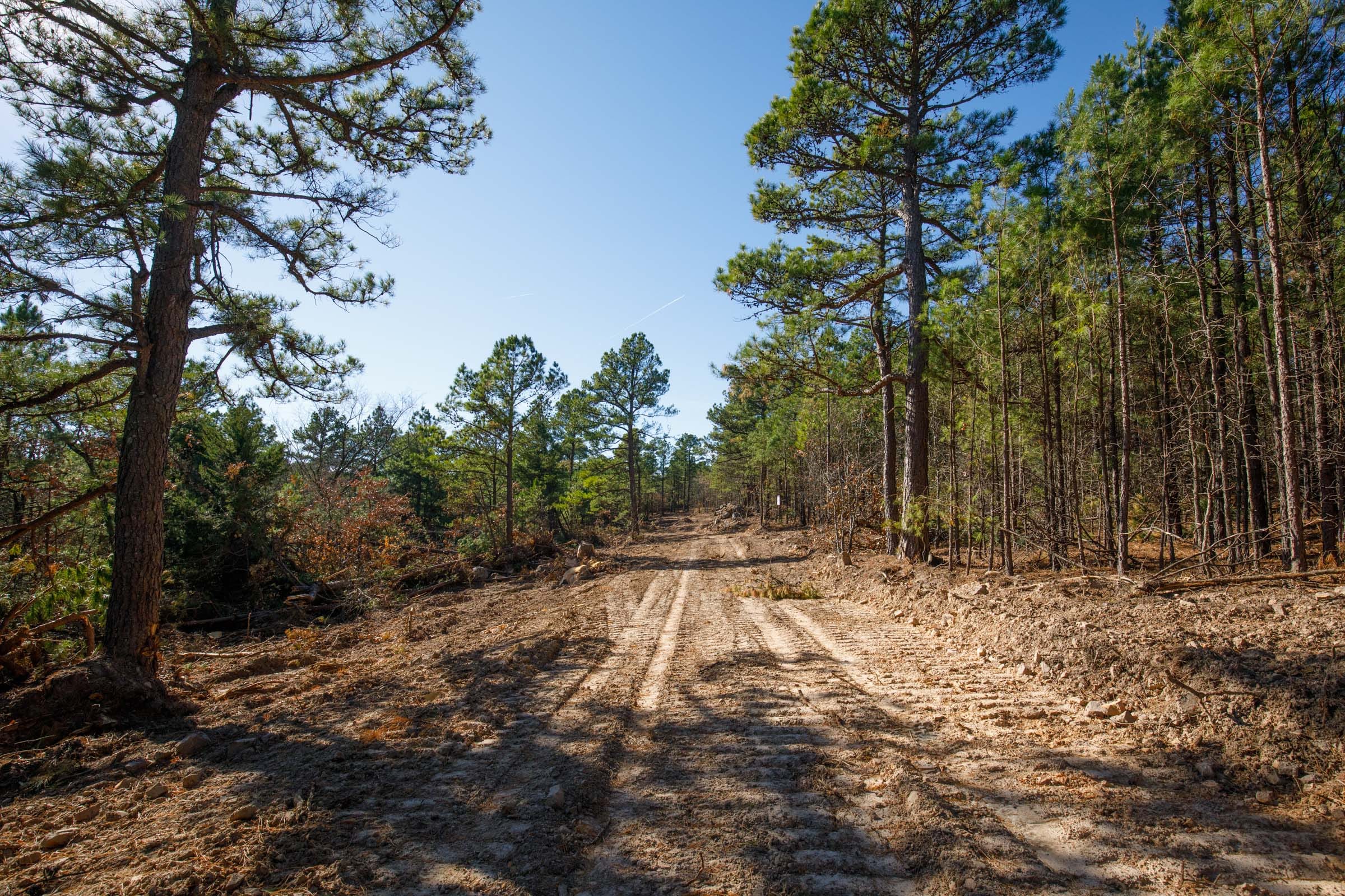 Stone Bridge Phase II Tract 95 photo 15