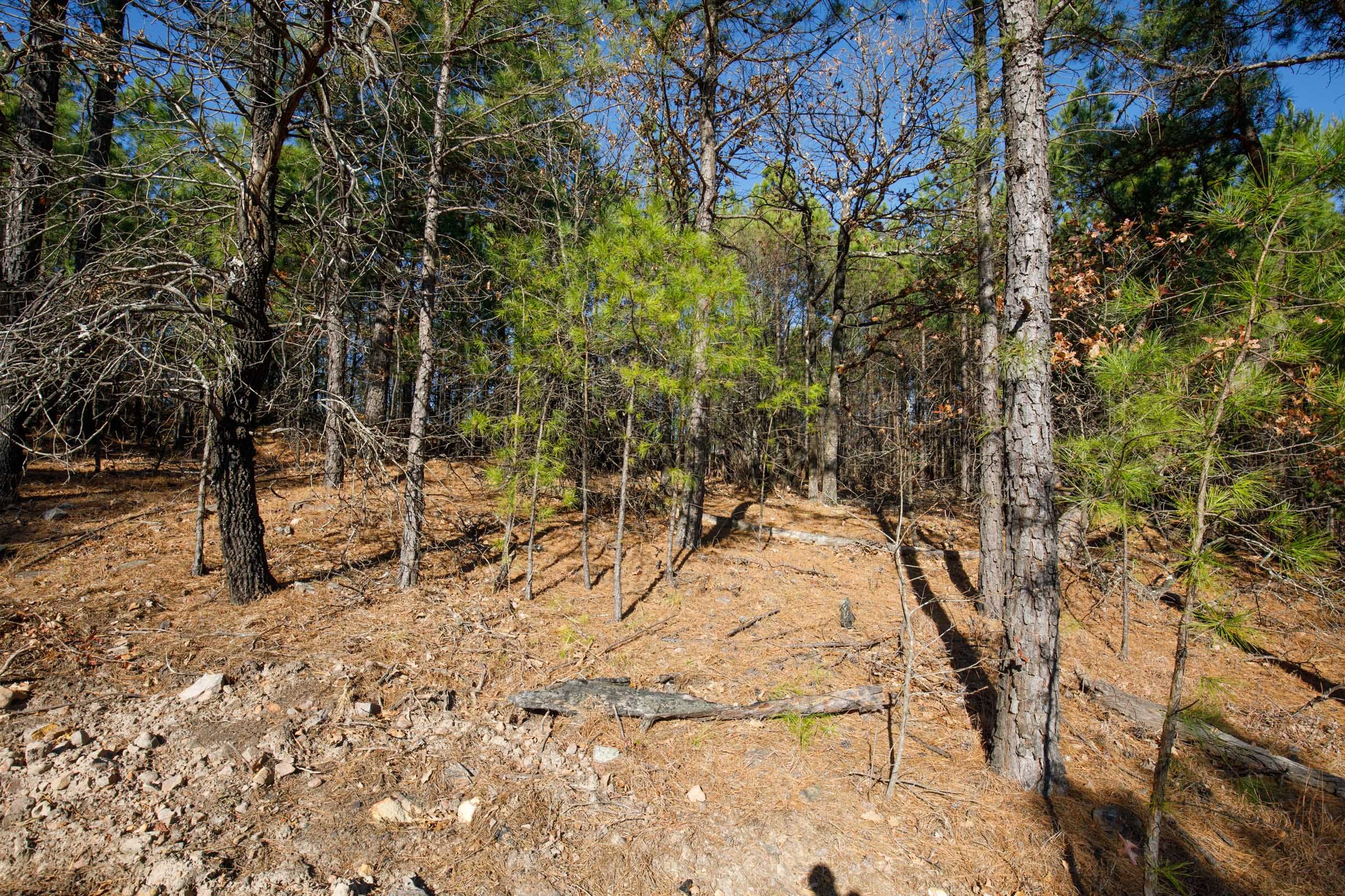 Stone Bridge Phase II Tract 95 photo 17